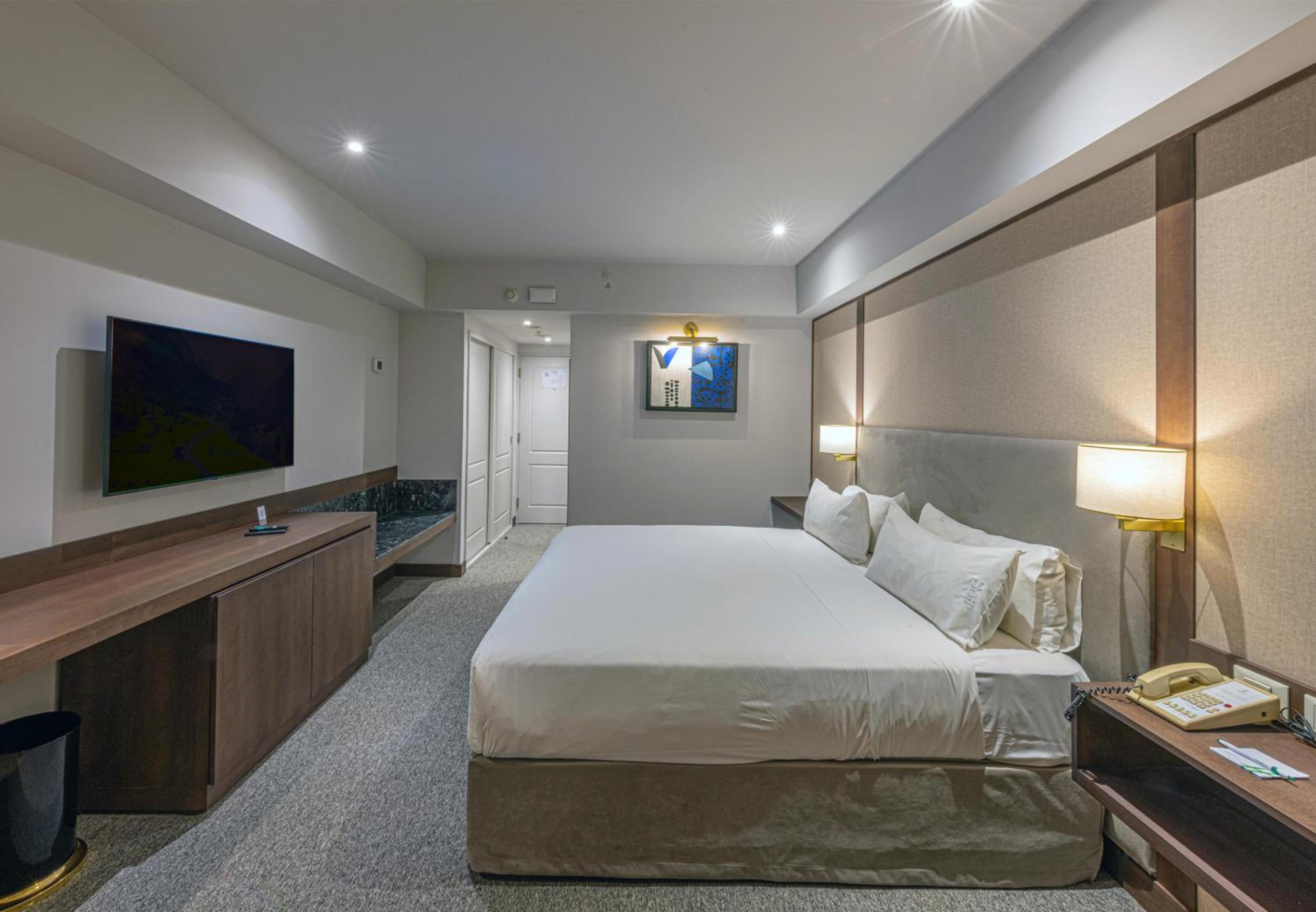 Premium King Room with Sofa Bed