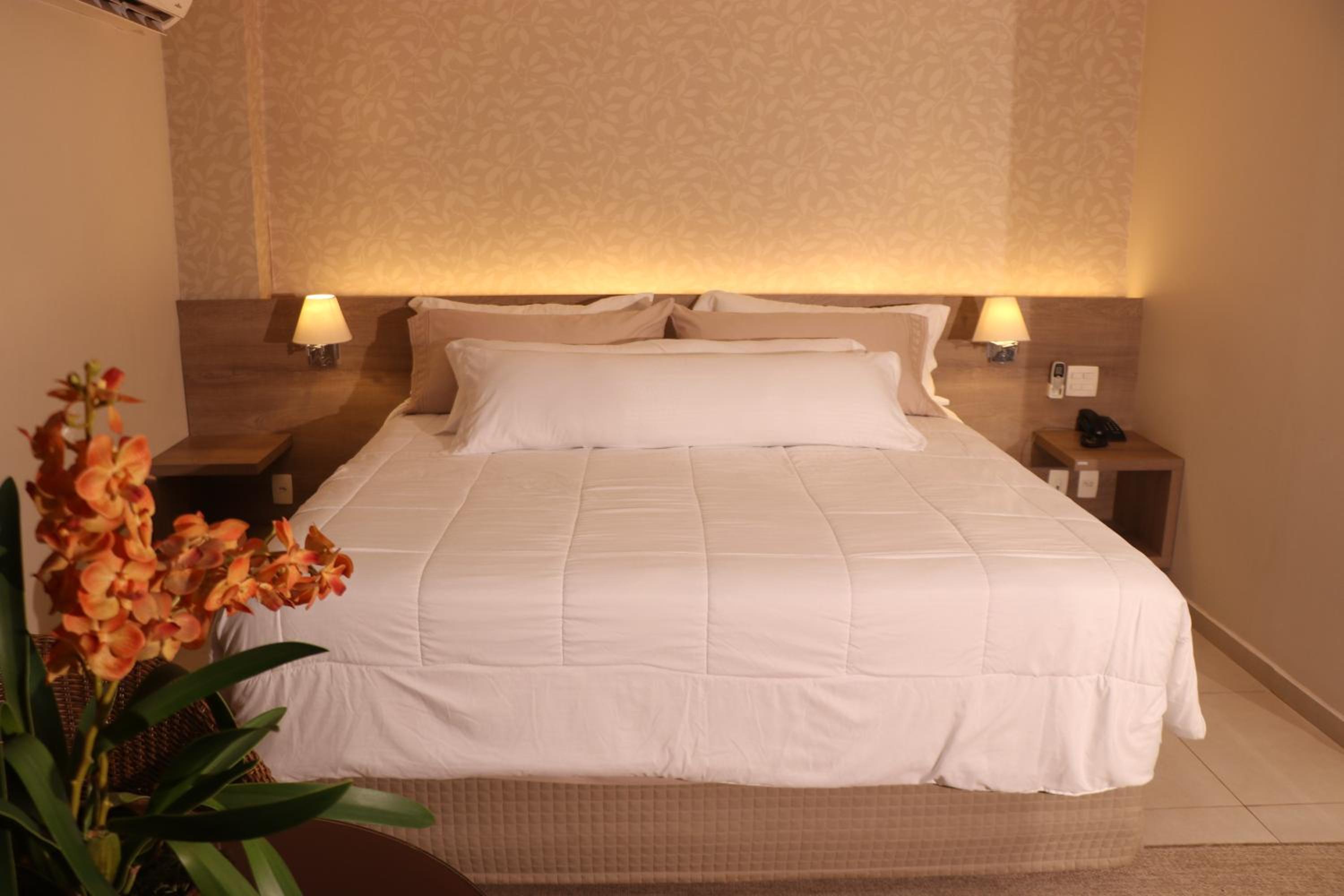 Suite photo 2