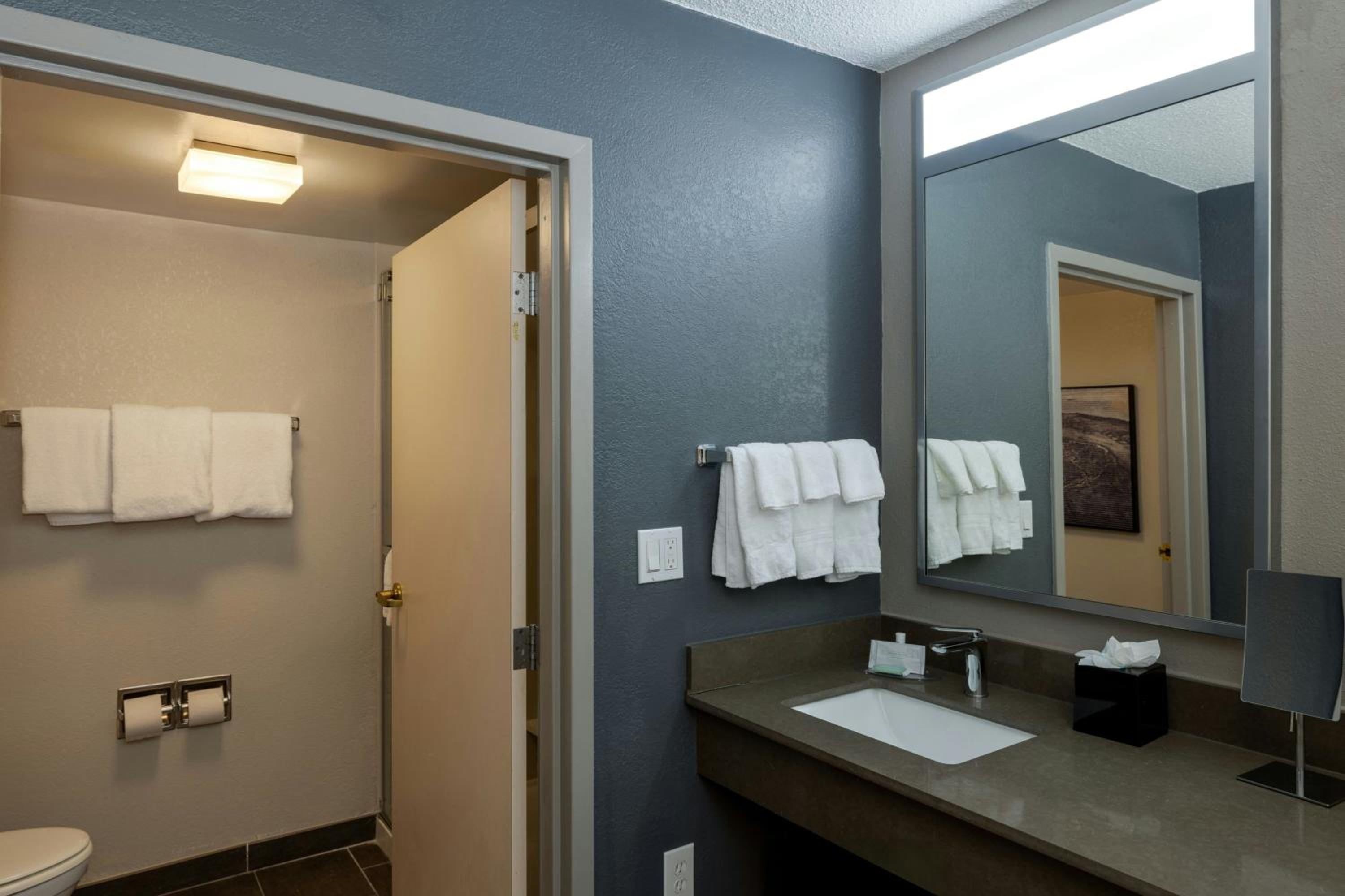 One-Bedroom King Suite with Balcony and Sofa Bed thumbnail 5