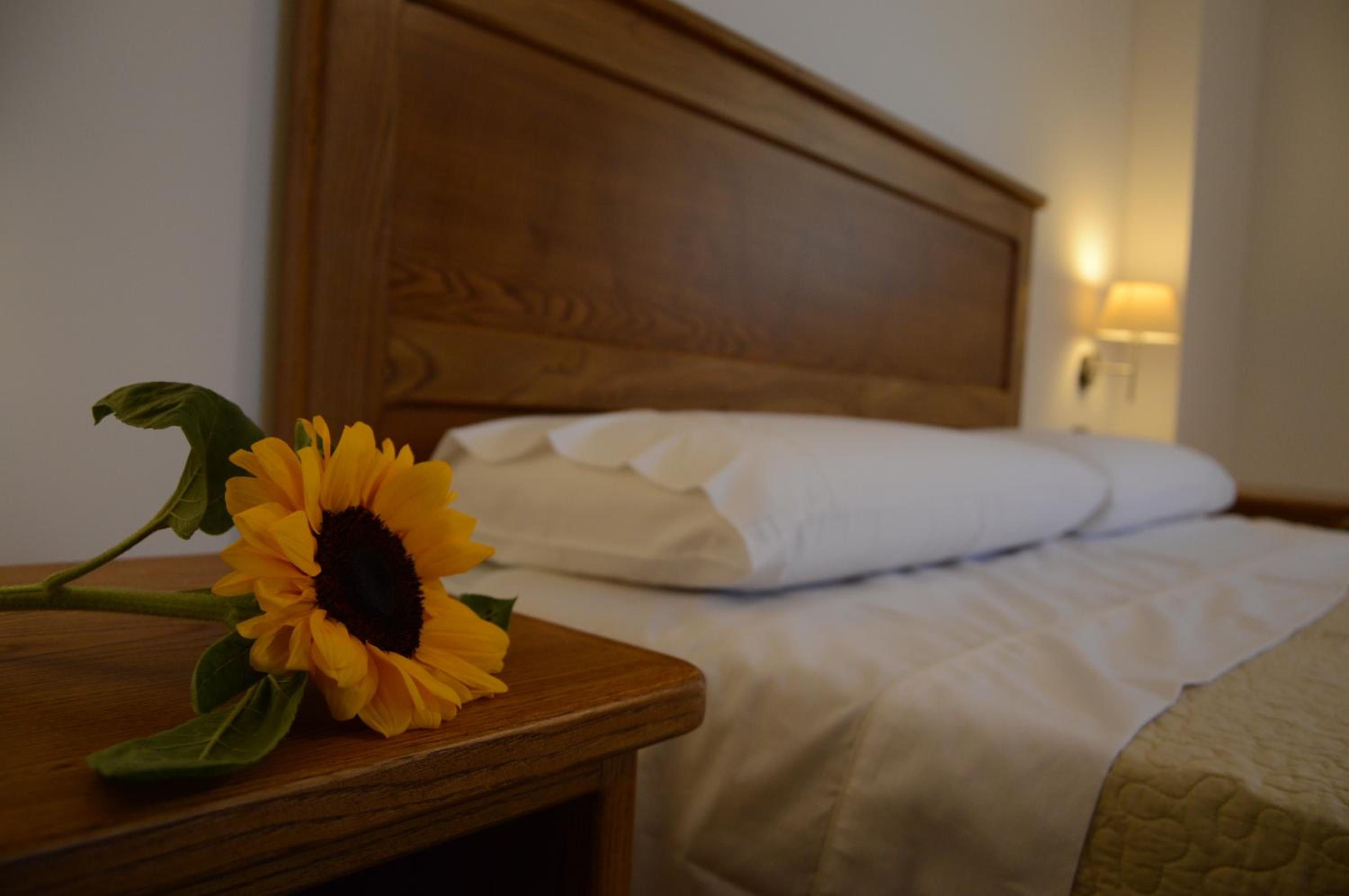 Superior Double Room - Photo 10