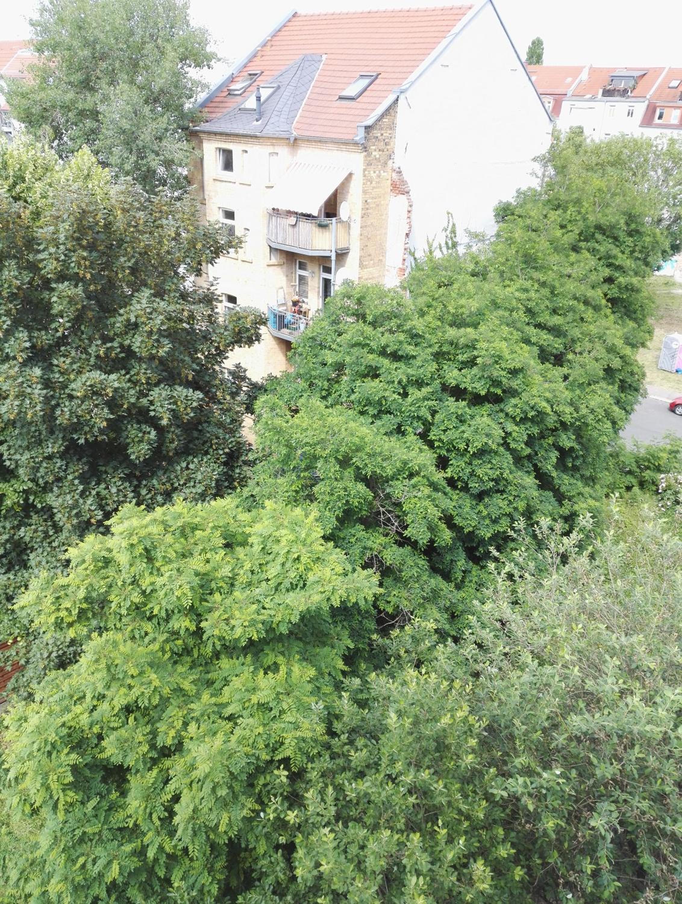 Studio Apartment - Photo 14