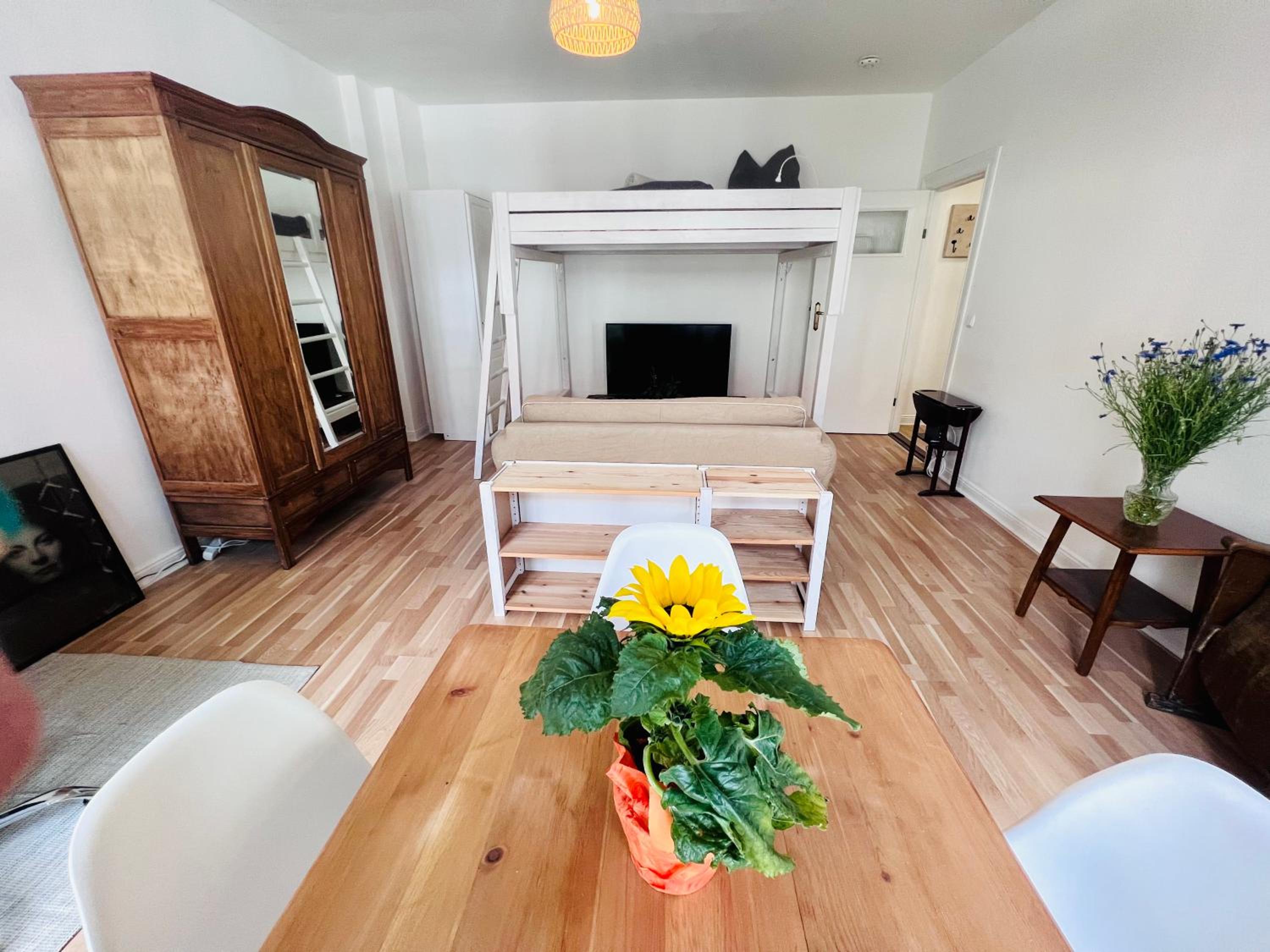 Studio Apartment photo 2
