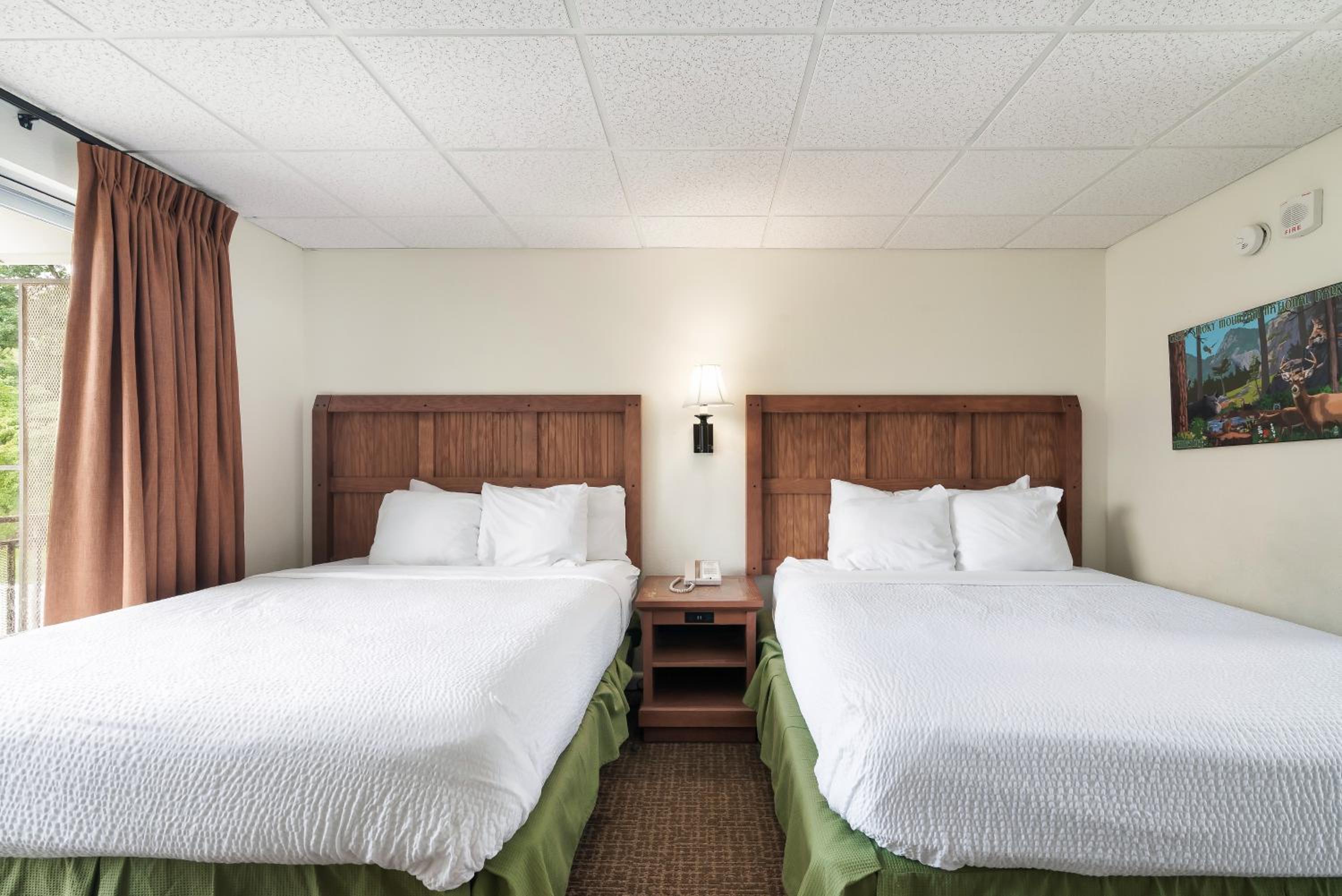 GTVH - Standard Queen Room photo 2