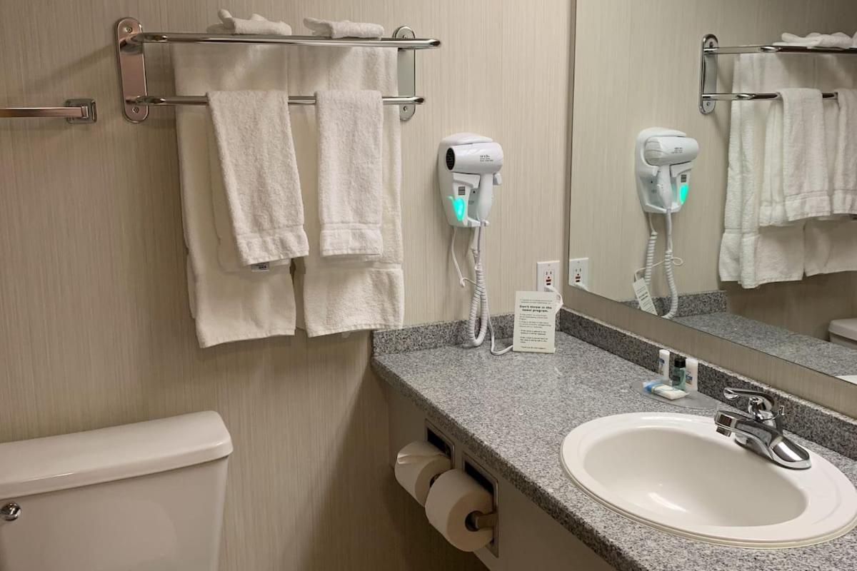 Executive King Room (Non-Pet Friendly) photo 2