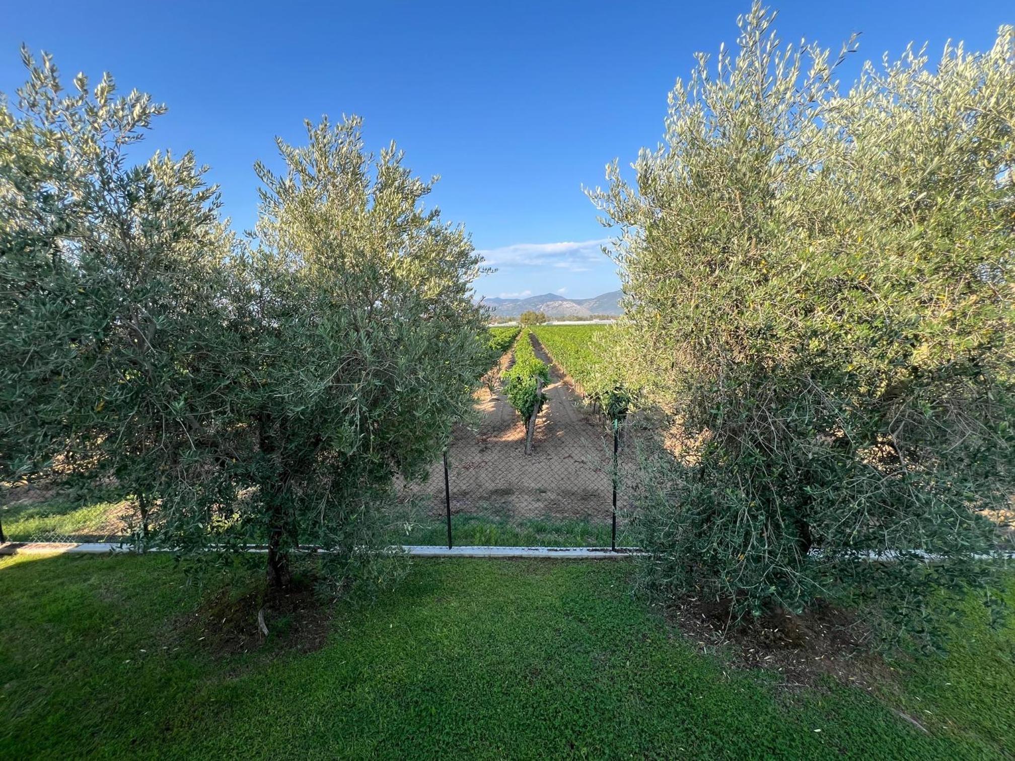 Villa photo 3