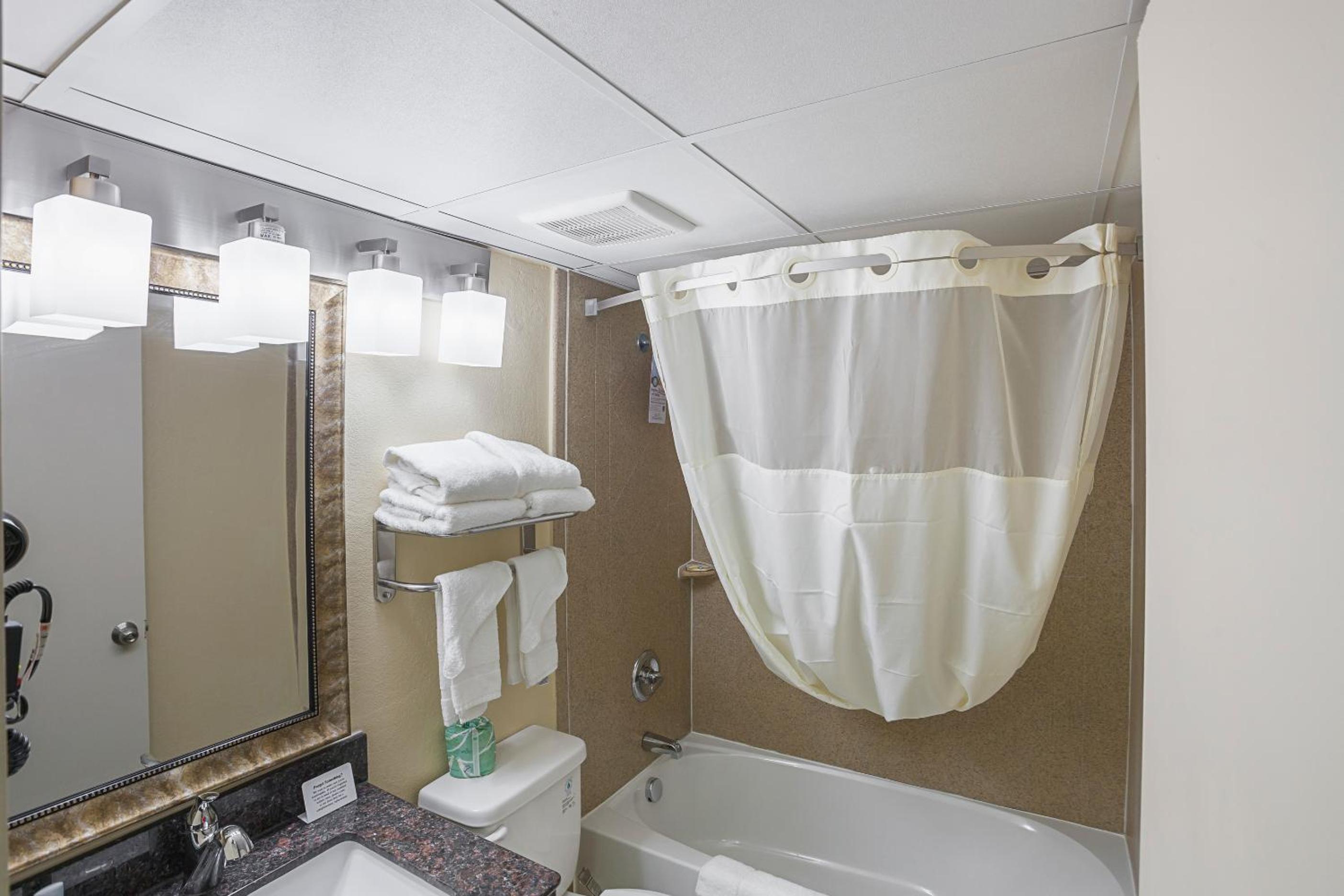 Business King Suite - Non-Smoking - Photo 3