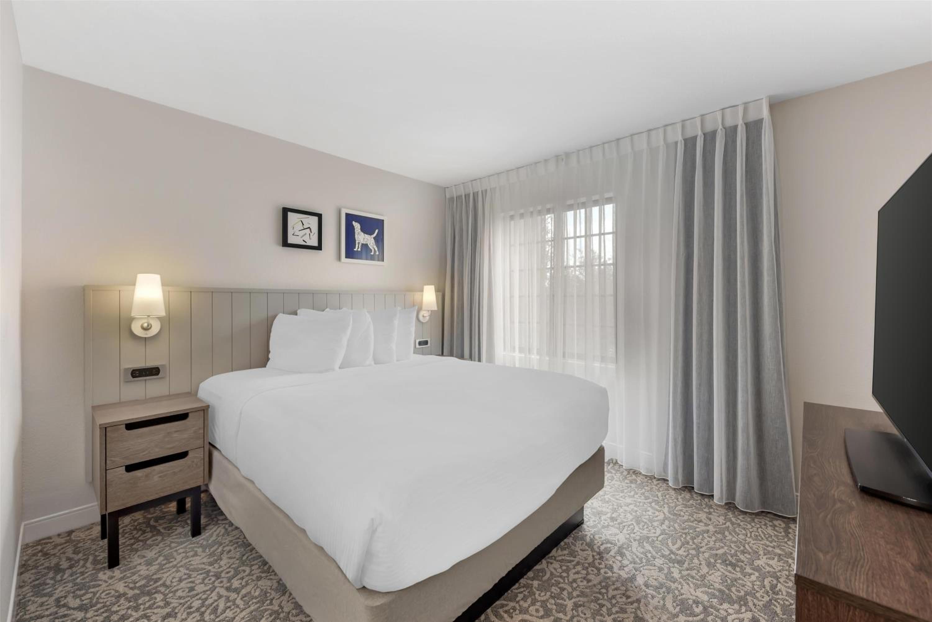Two Bedroom Suite - Queen and Two Doubles - Mobility Accessible - Bathtub, photo 6