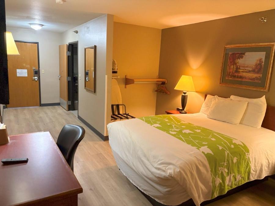 Queen Room - Disability Access photo 2