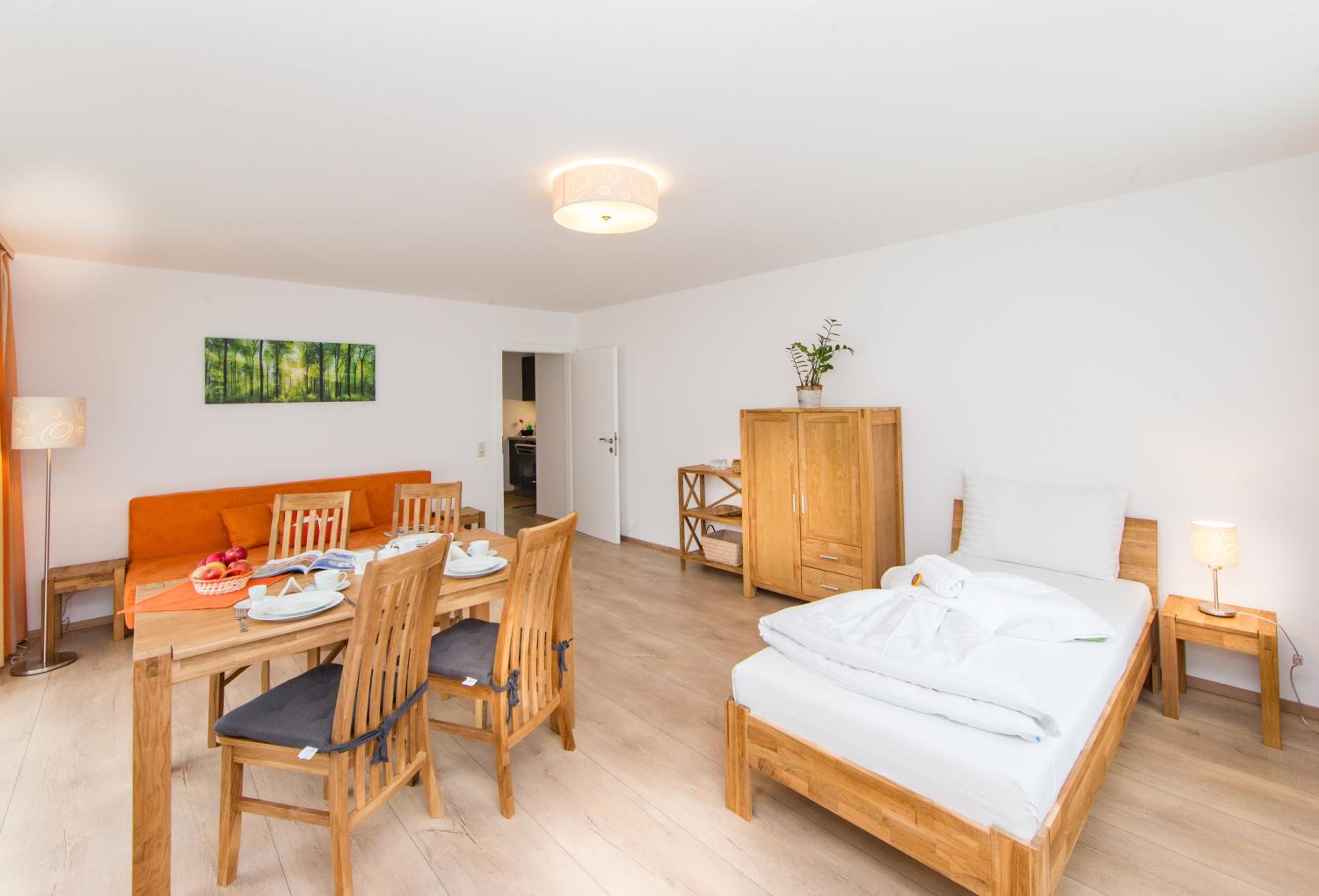 Large One-Bedroom Apartment, Top 4 photo 3