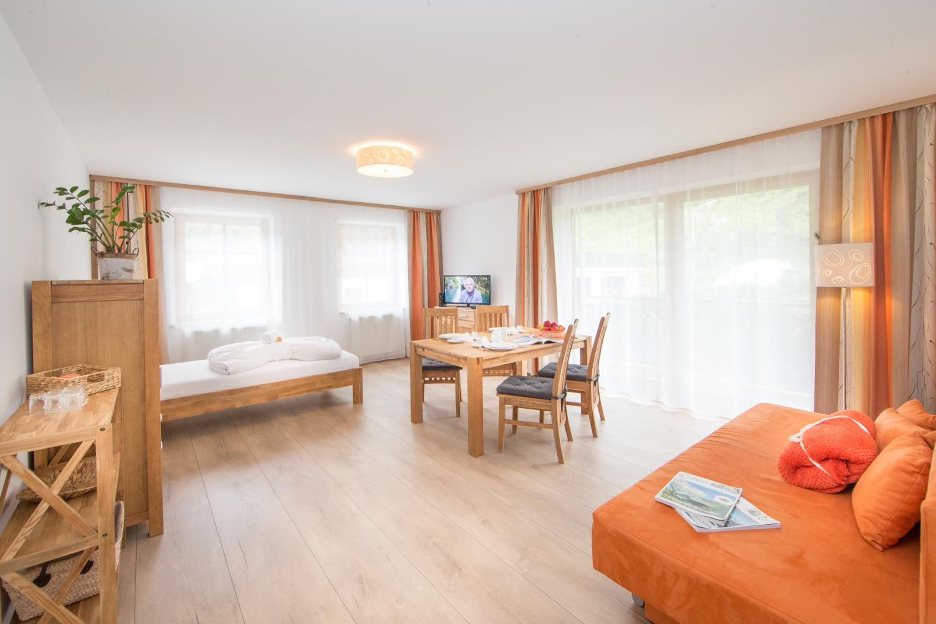 Large One-Bedroom Apartment, Top 4 photo 1