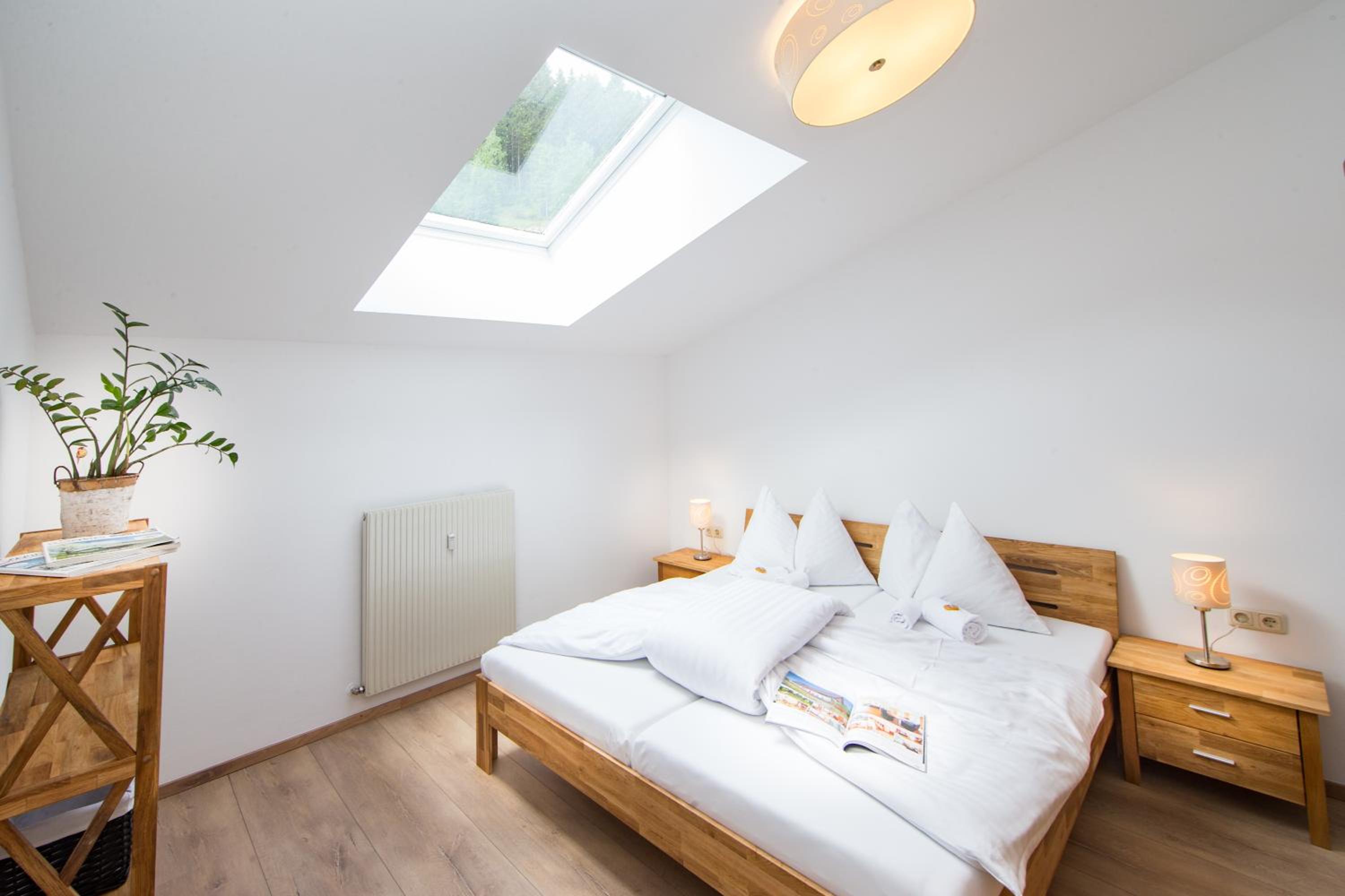 Large One-Bedroom Apartment with Balcony, Top 6 photo 1