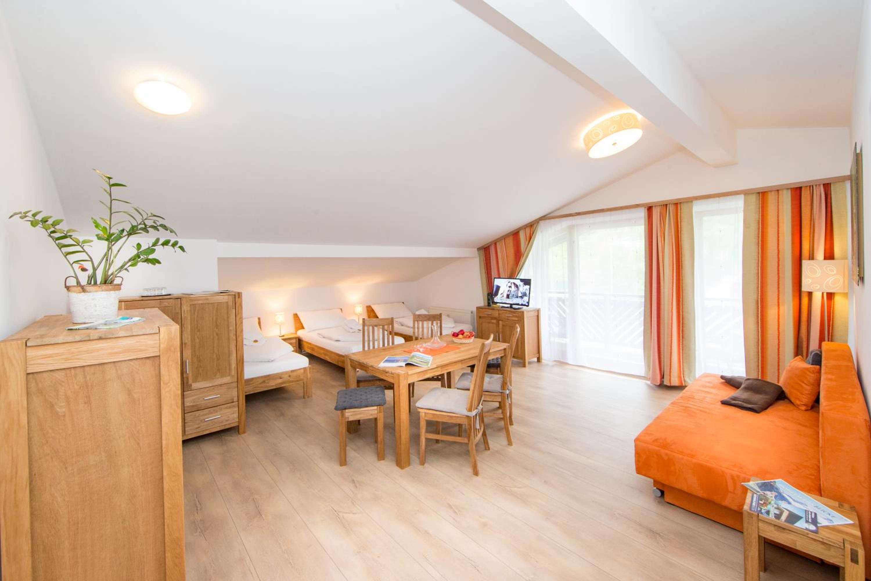 Large One-Bedroom Apartment with Balcony, Top 7 photo 1