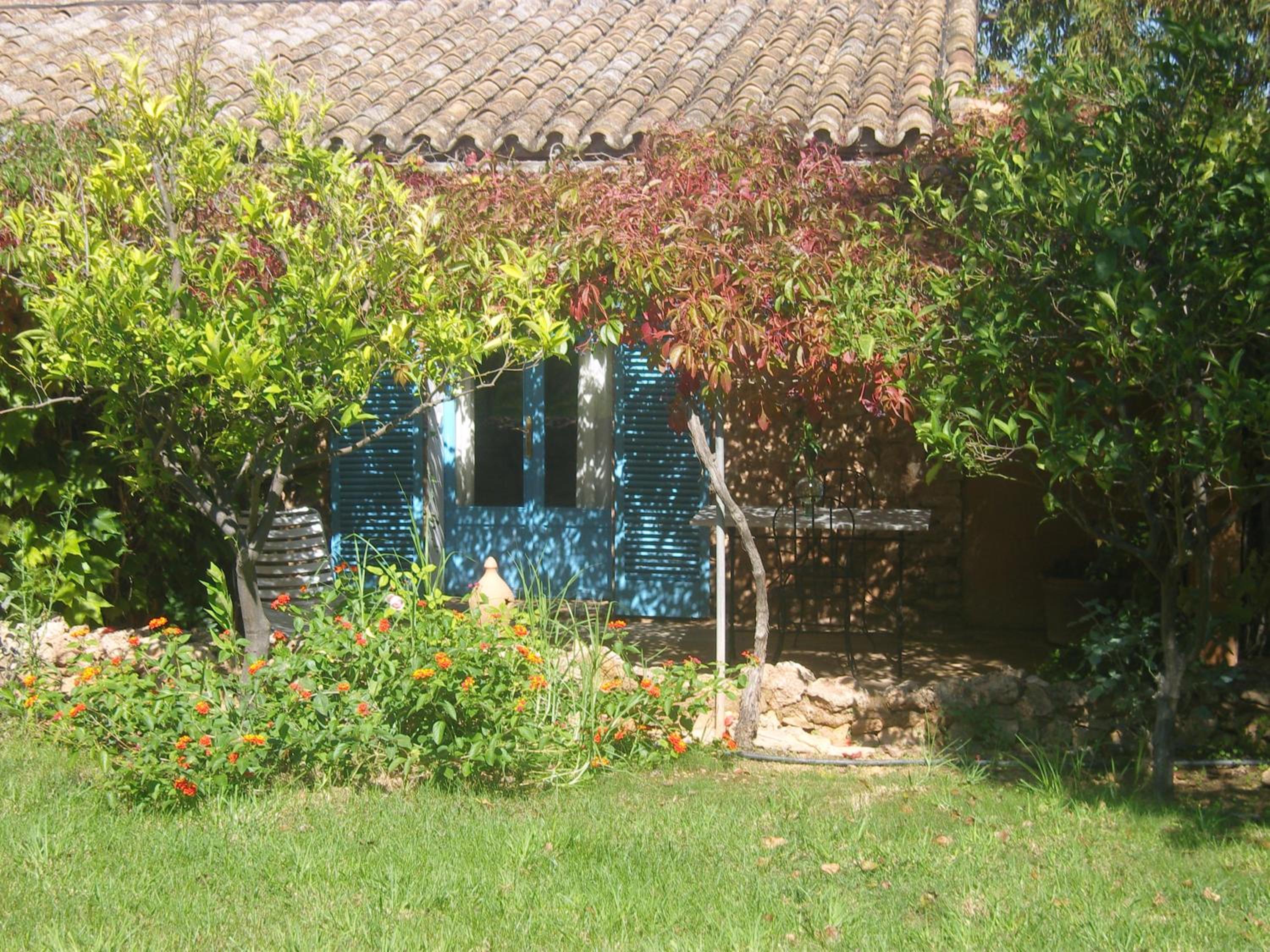 Double Room with Terrace photo 3