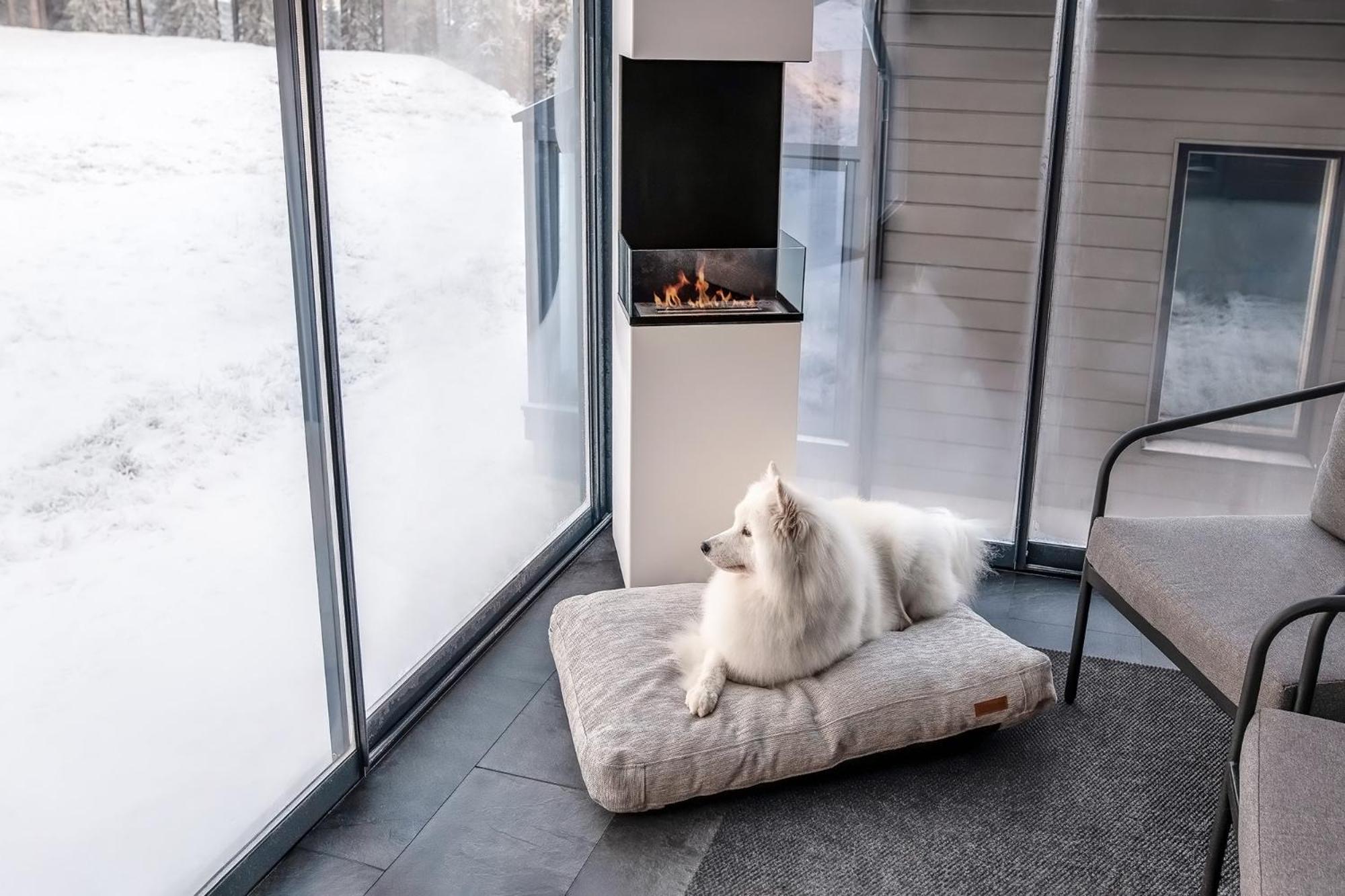 Two Bedroom Apartment - Pet Friendly