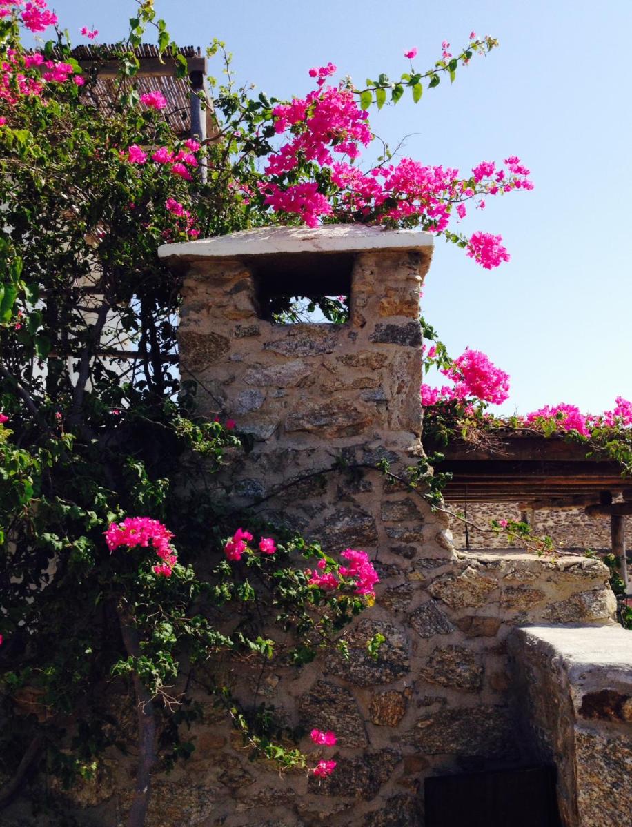 Villa with Sea View photo 2