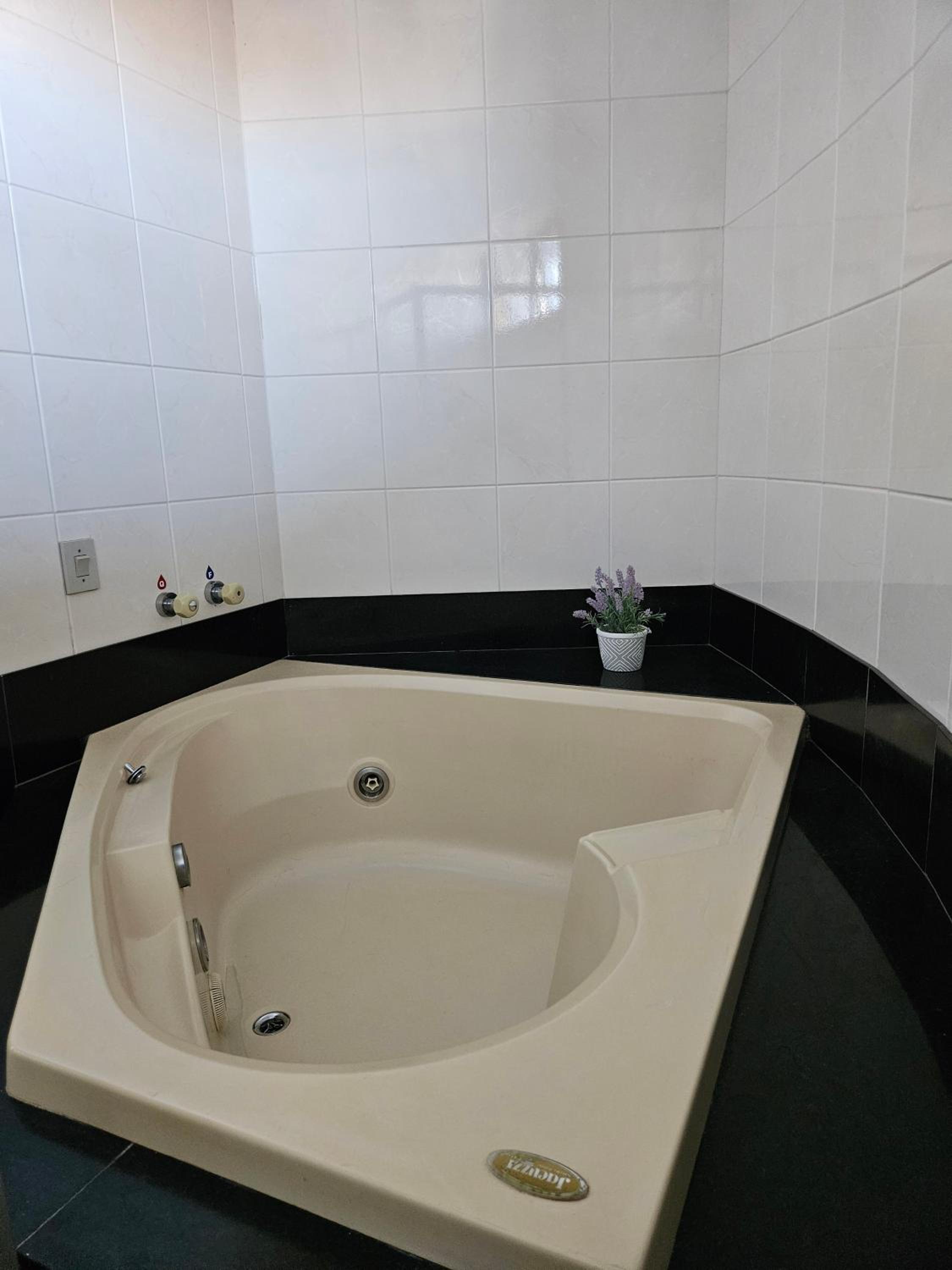 Deluxe Suite photo 3