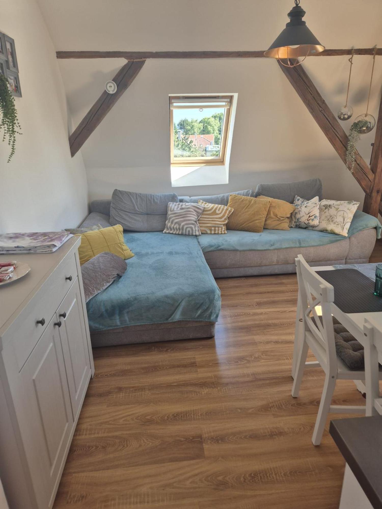 Family Studio