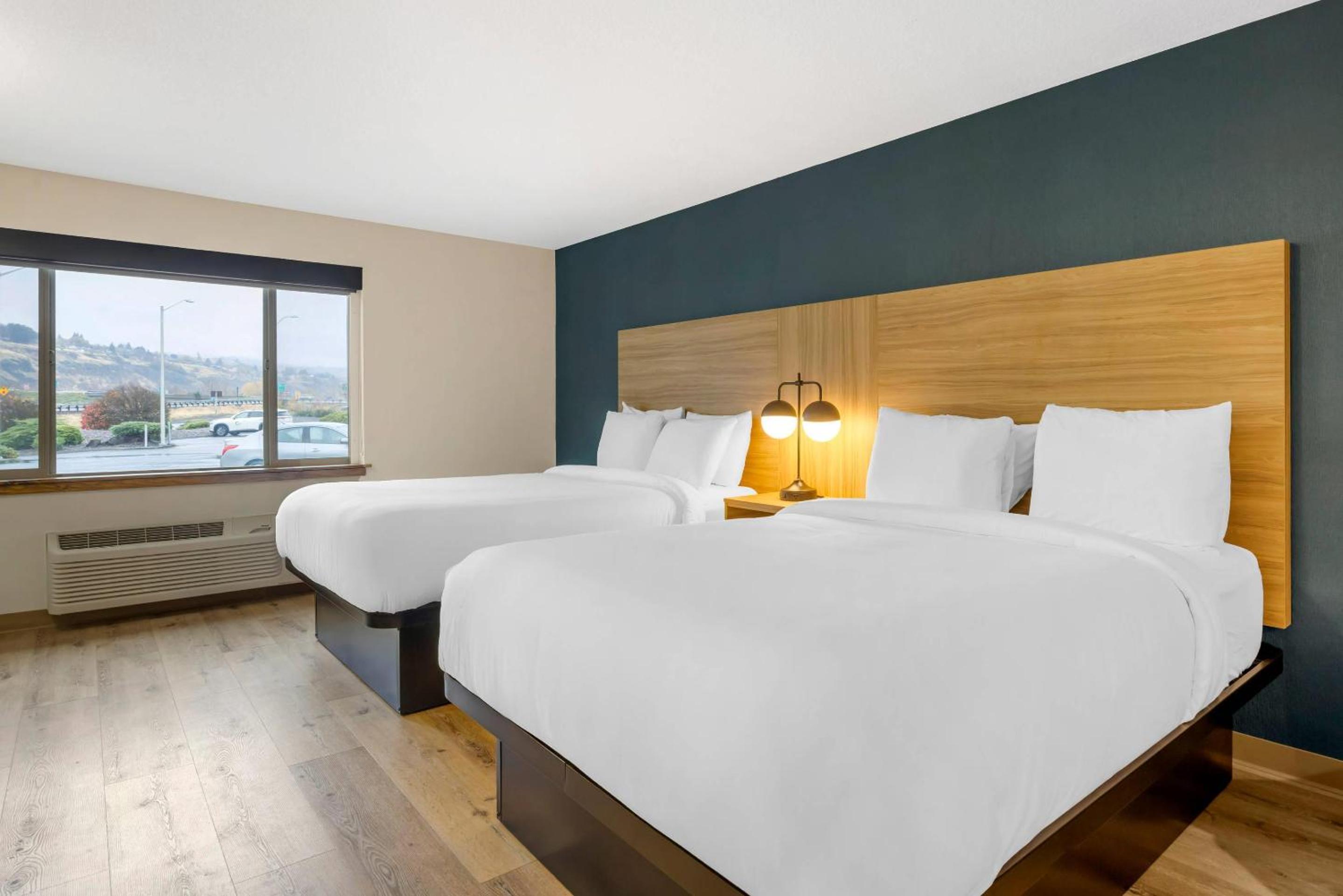 Efficiency Suite 2 Queen Bed, No View/Roll In Shower/Disability Access - Non Smoking - Photo 1