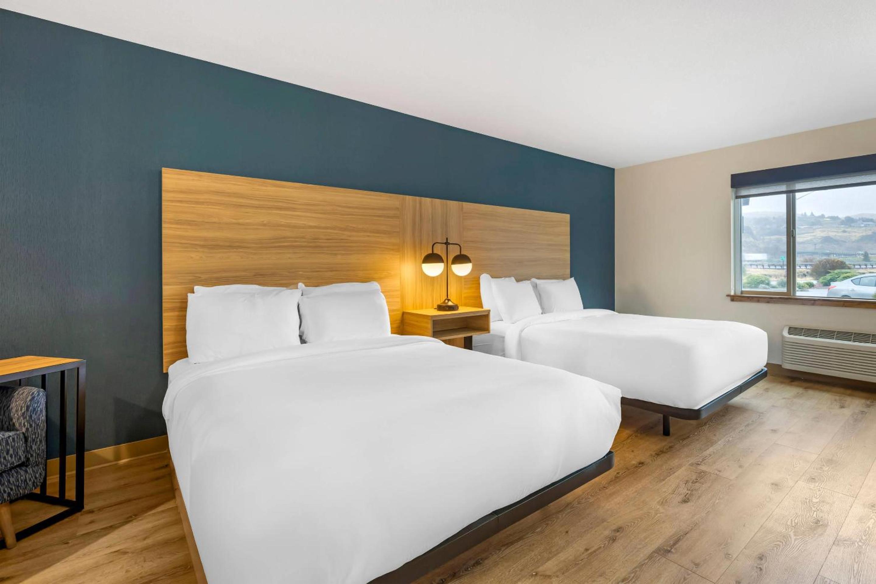 Efficiency Suite 2 Queen Bed, No View/Roll In Shower/Disability Access - Non Smoking - Photo 4