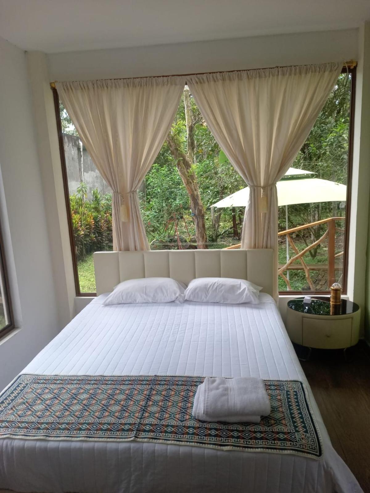 Standard Twin Room photo 1