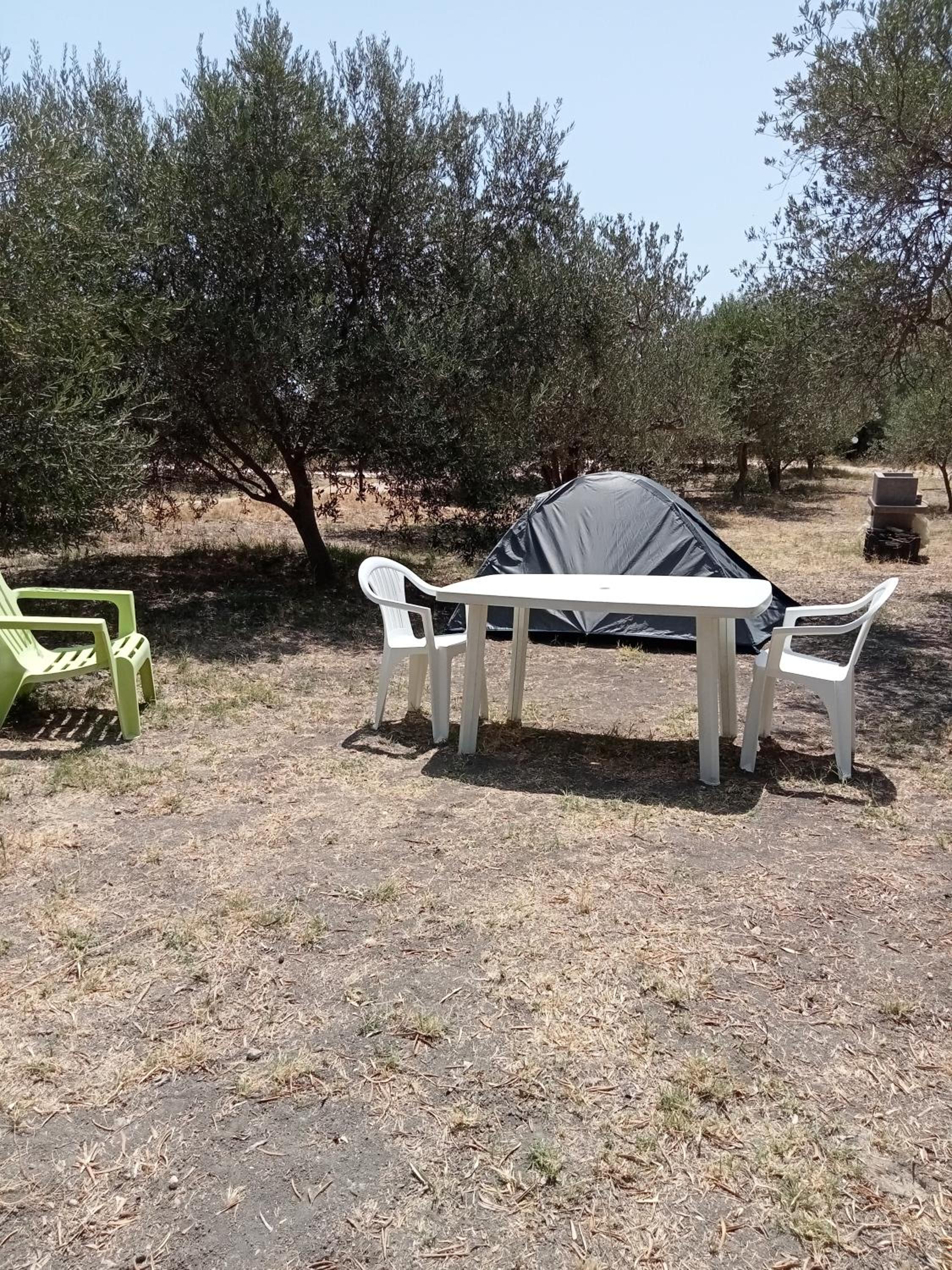 Empty Lot photo 3