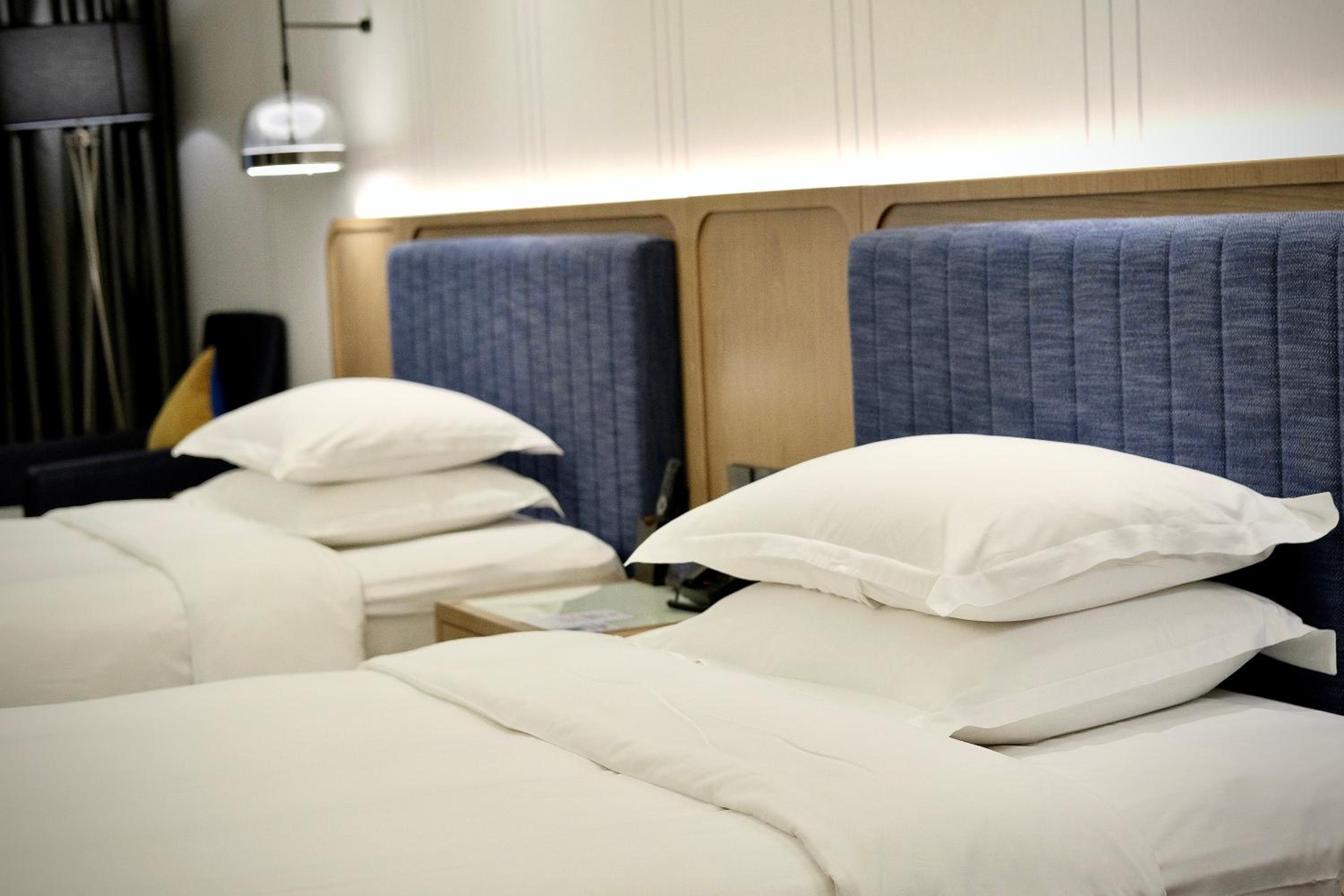 Standard Twin Room - Accessible