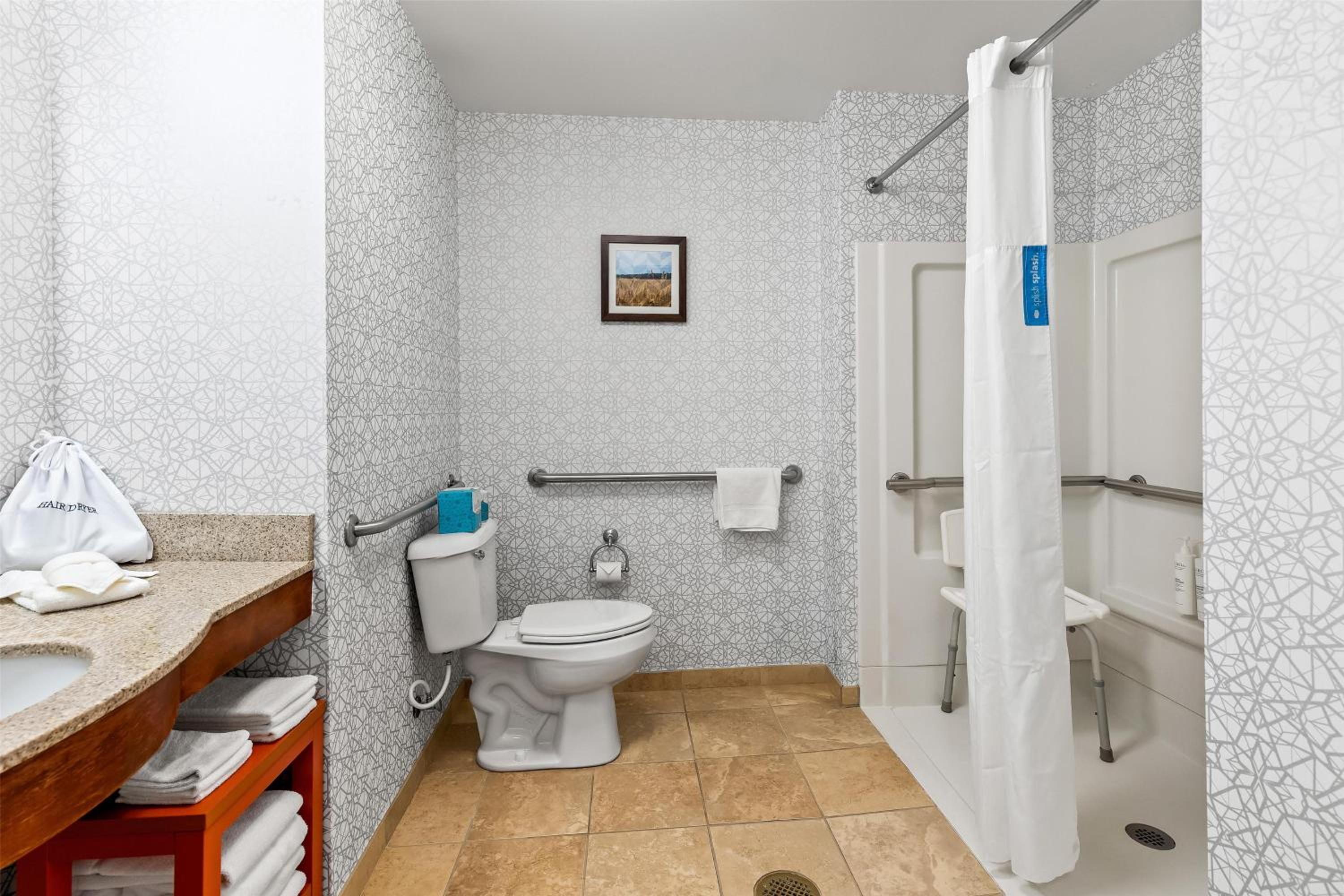 King Room with Roll-In Shower - Mobility Access/Non-Smoking - Photo 1