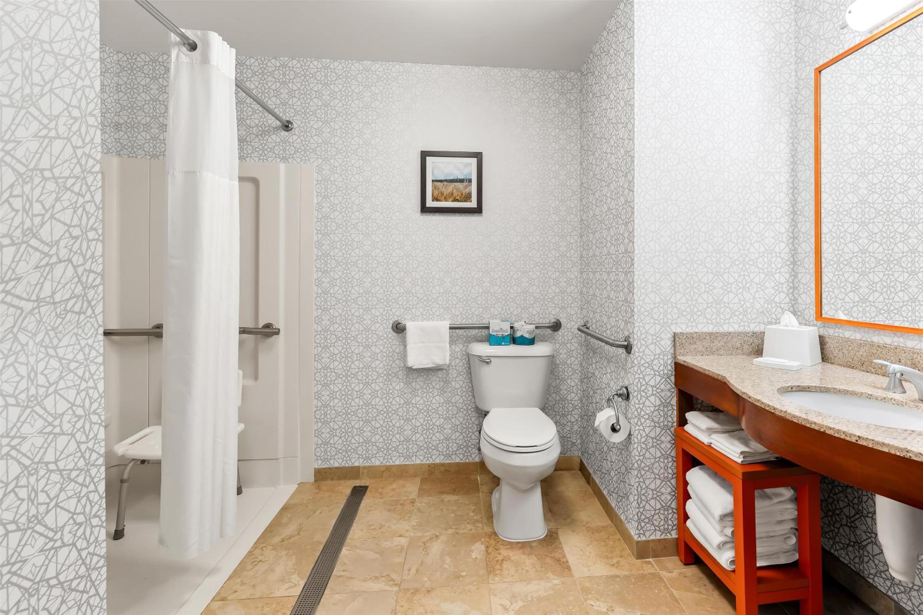 King Room with Roll-In Shower - Mobility Access/Non-Smoking - Photo 5