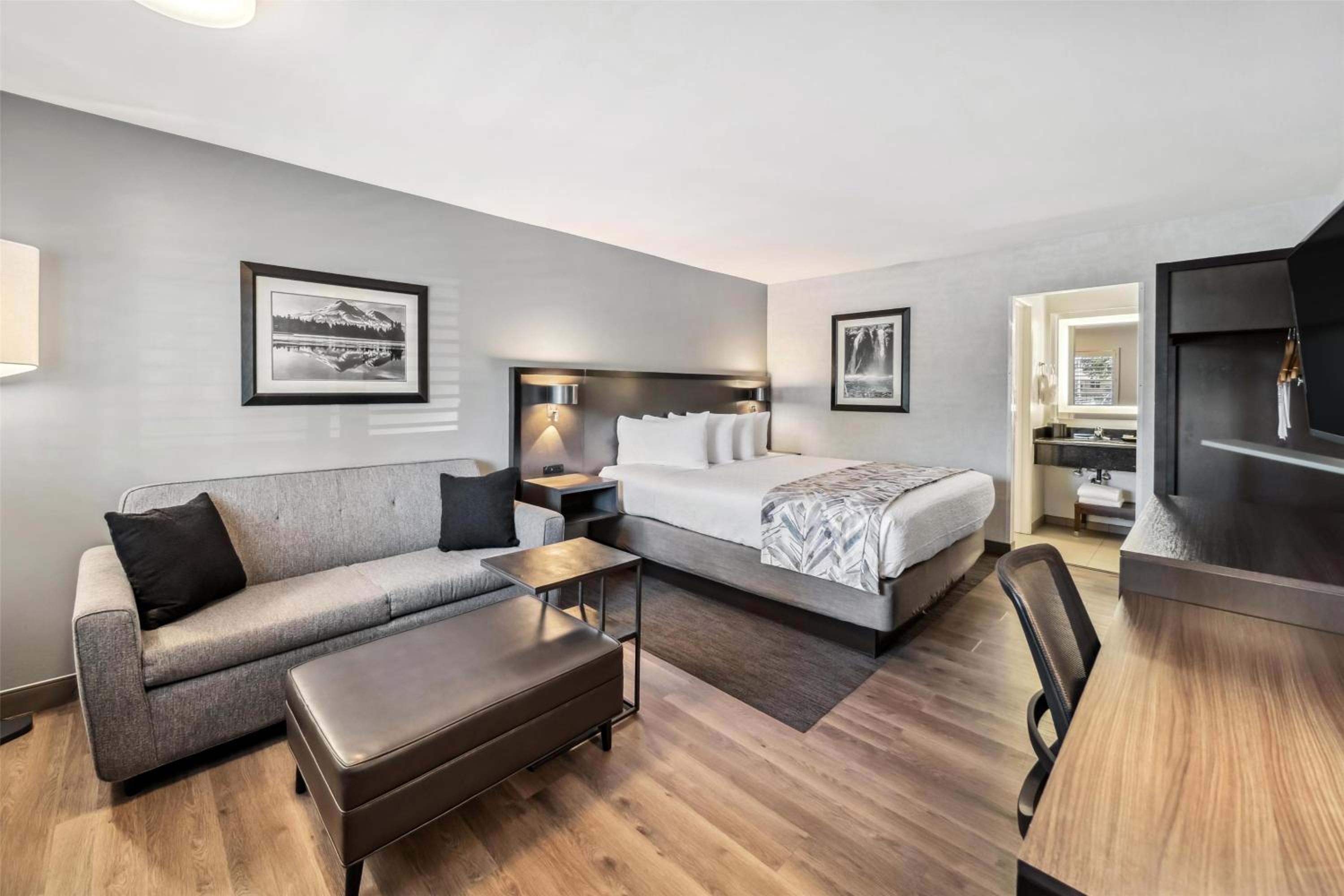 Executive King Room with Sofa Bed - Pet Friendly/Non-Smoking - Photo 2