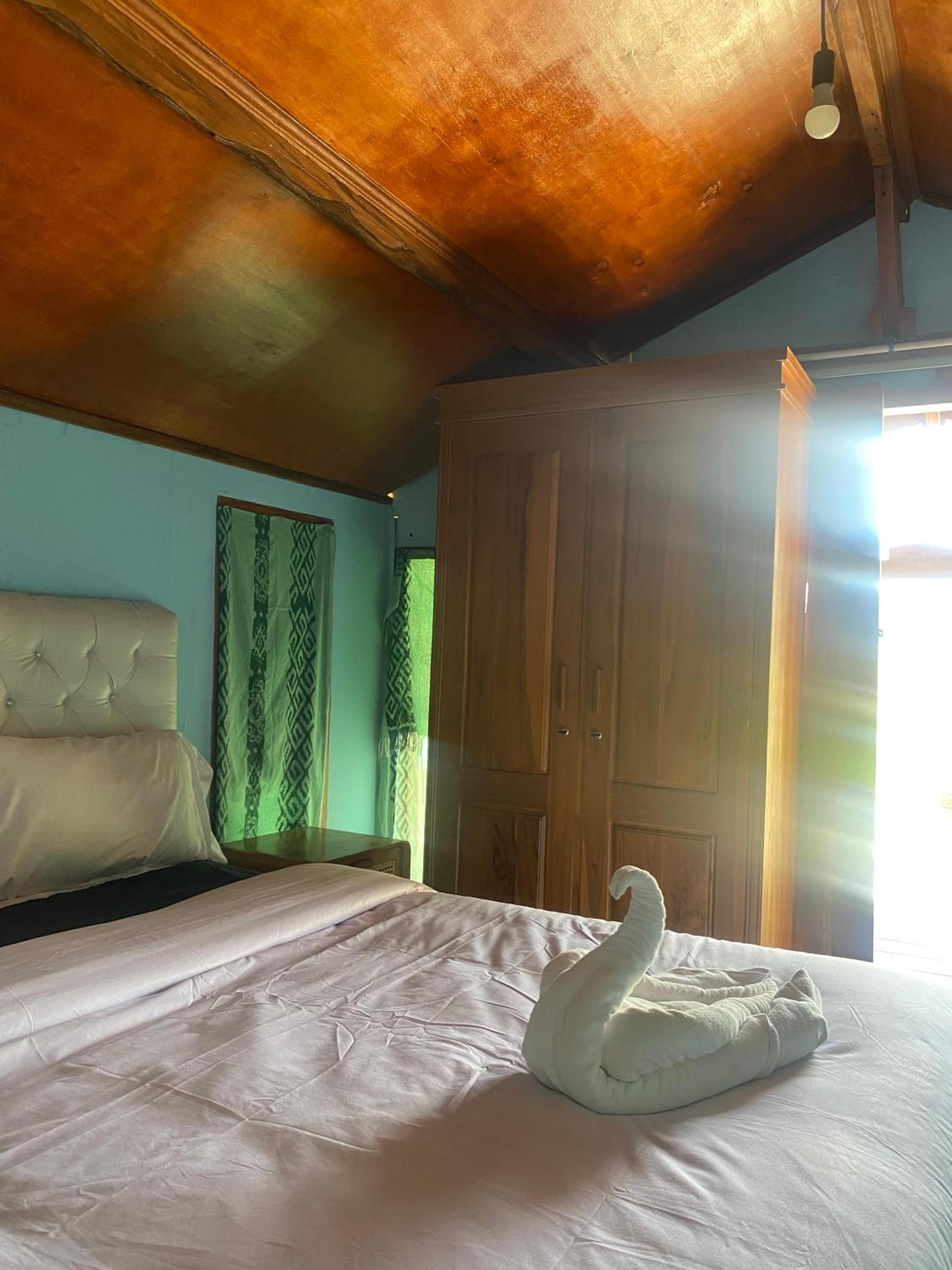 Standard Bungalow photo 2