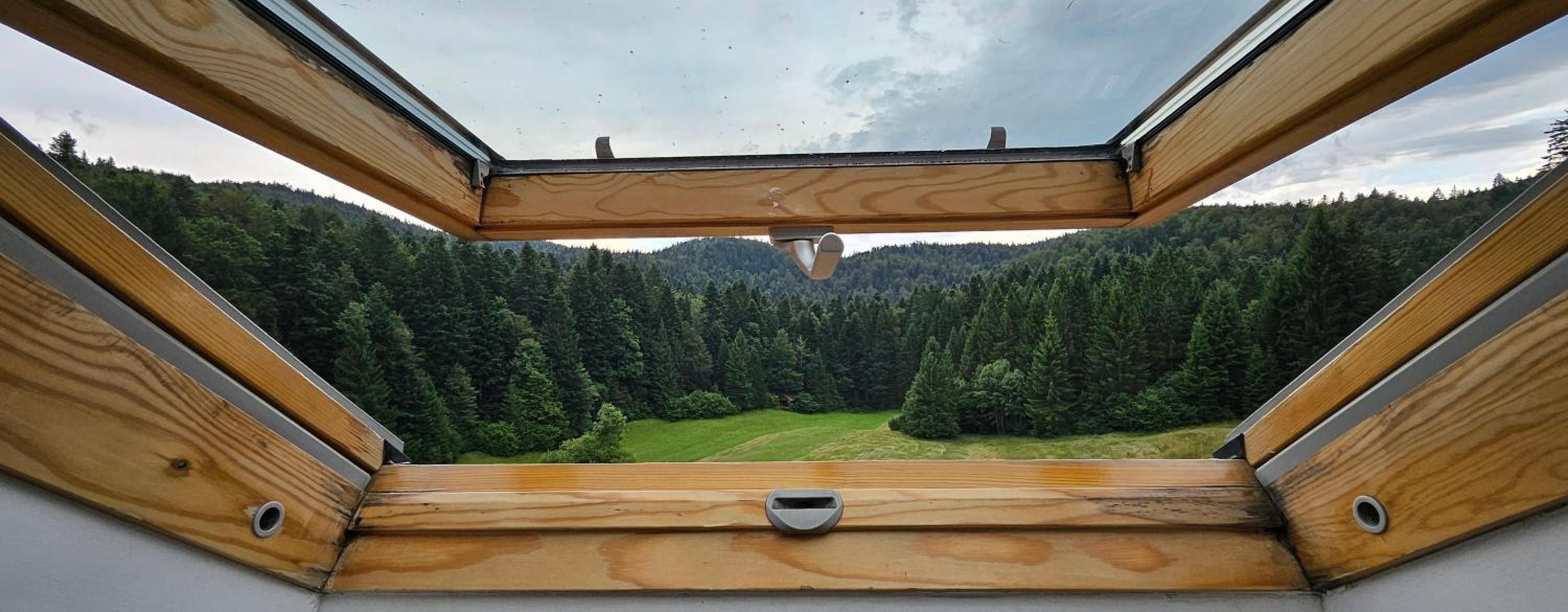 Double Room with Park View photo 1