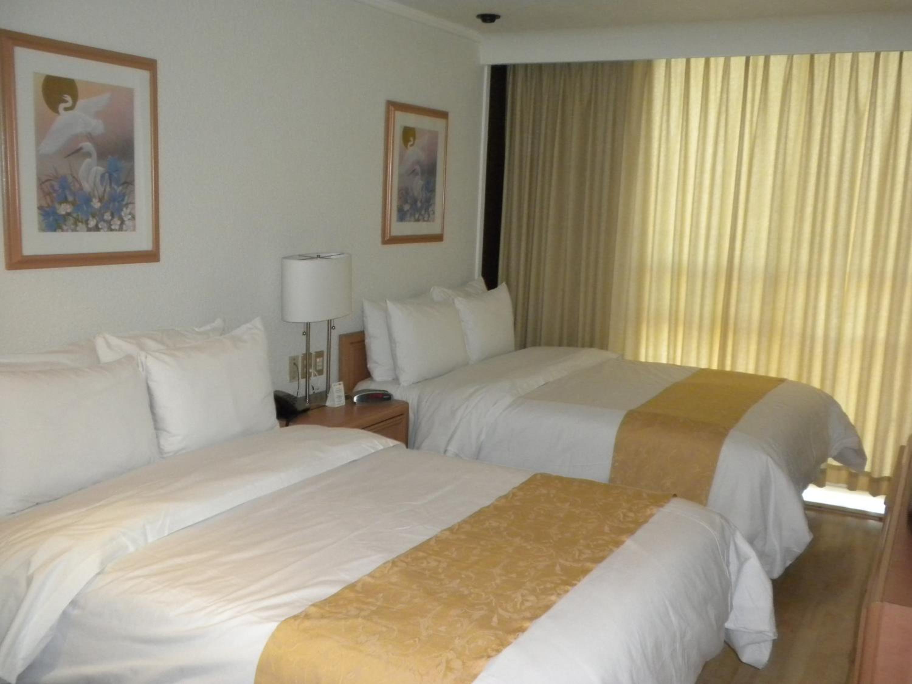 Economy Double Room photo 2