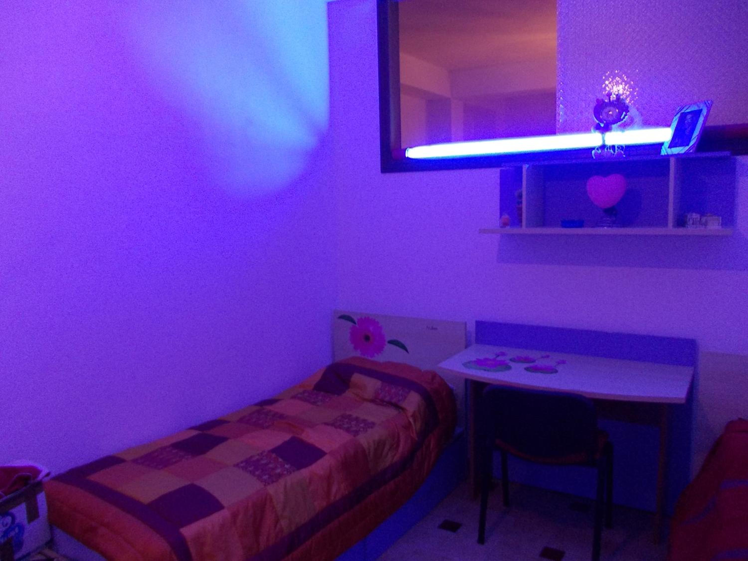Apartment - Photo 38