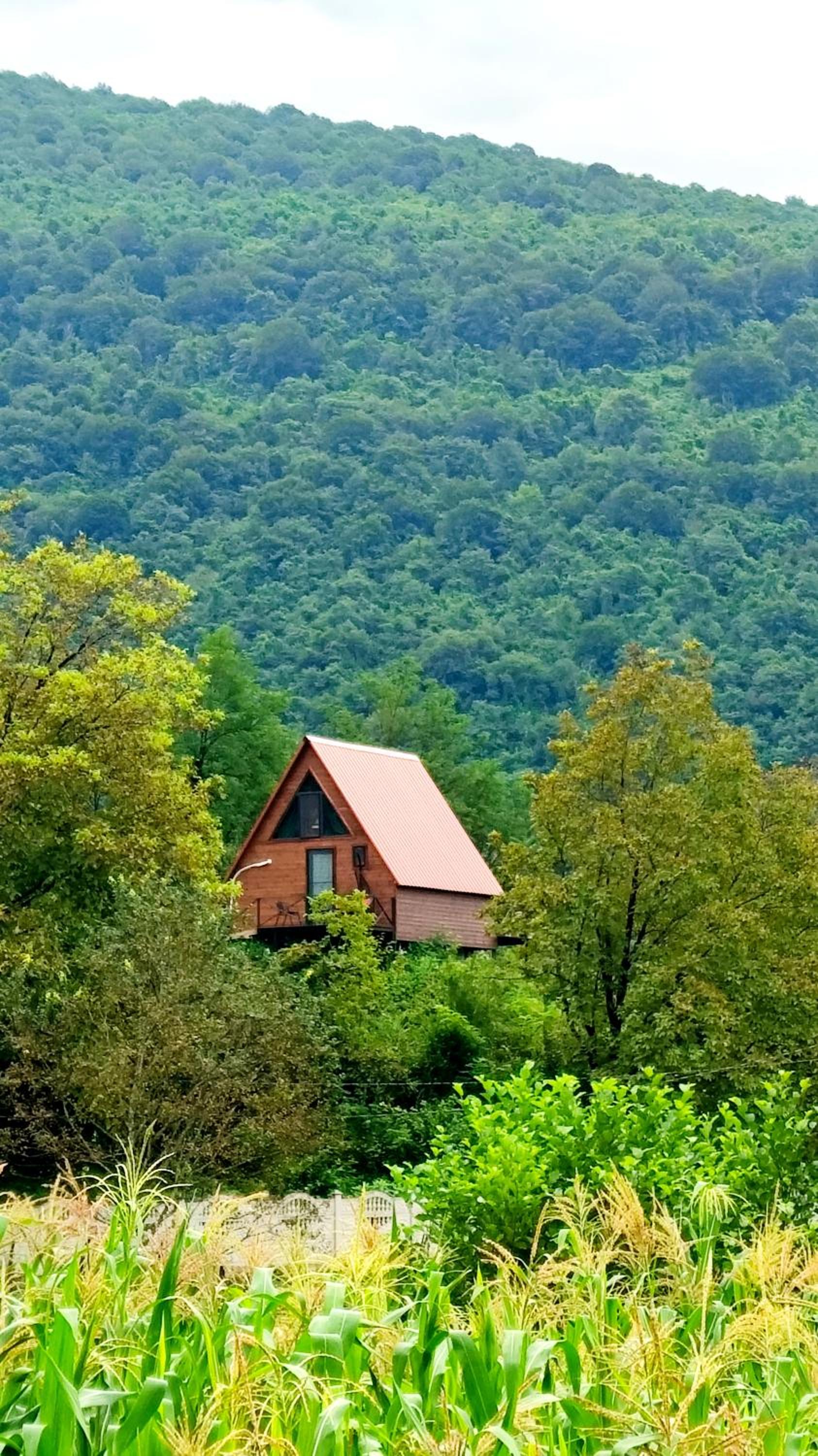 Vacation Home photo 1