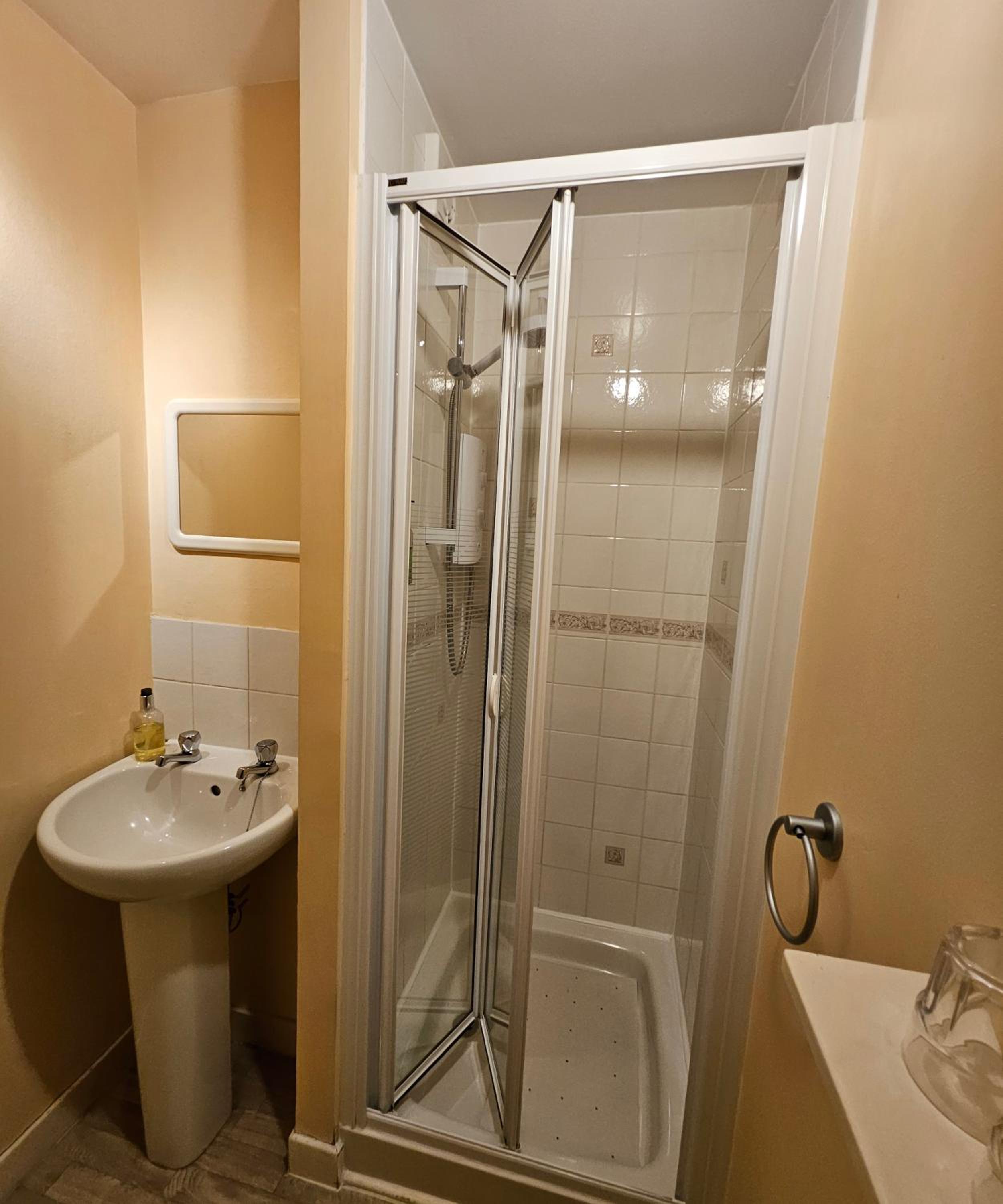 Deluxe One-Bedroom Apartment