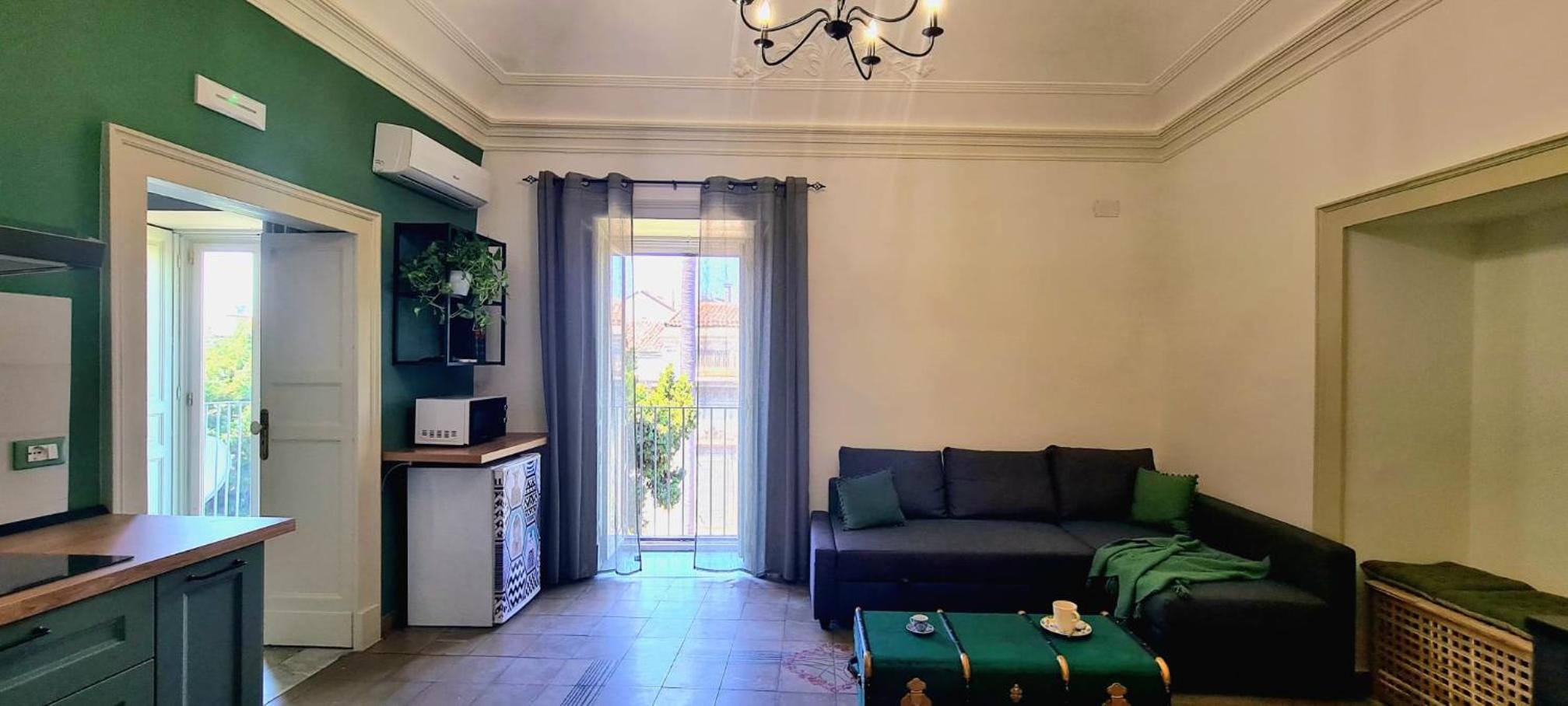 One-Bedroom Apartment with View