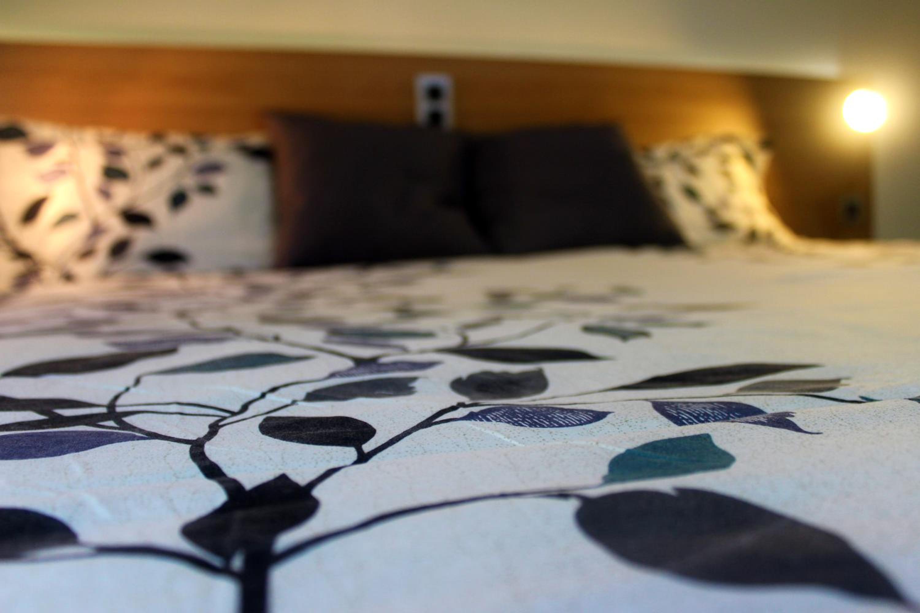 Double or Twin Room photo 3