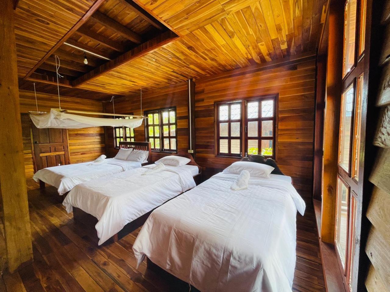 Single Bed in Mixed Dormitory Room photo 2