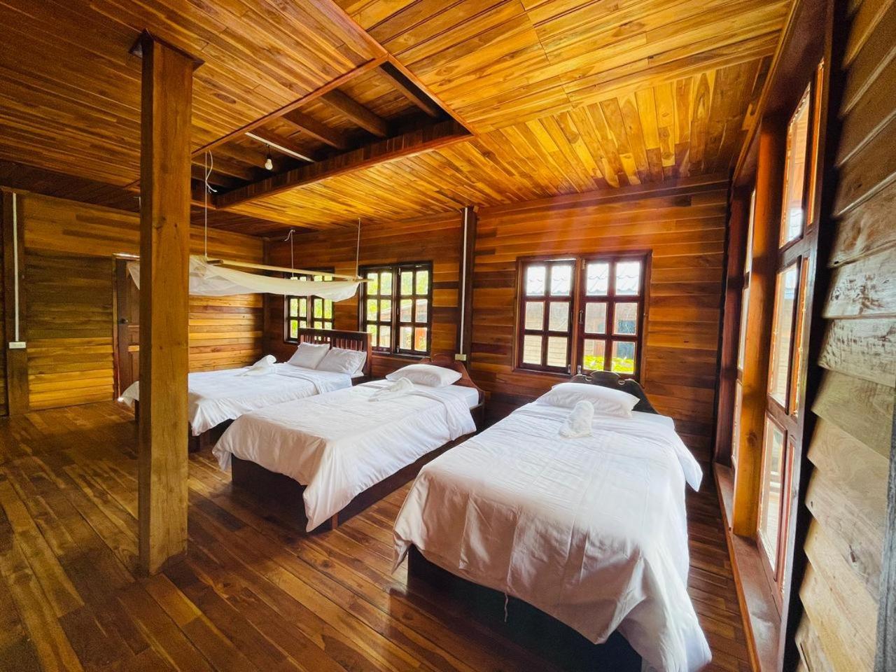 Single Bed in Mixed Dormitory Room photo 1