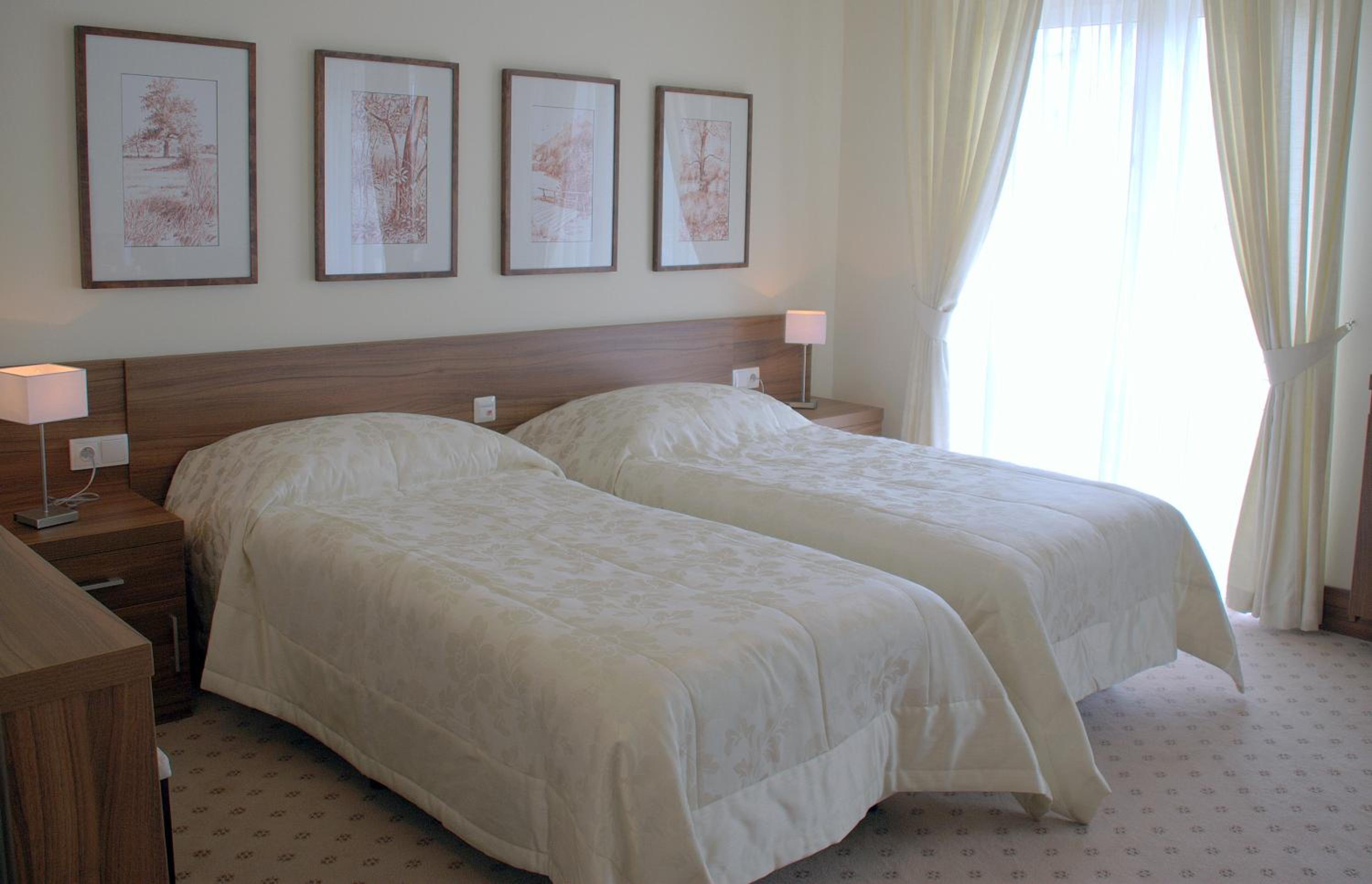 Deluxe Double or Twin Room photo 1