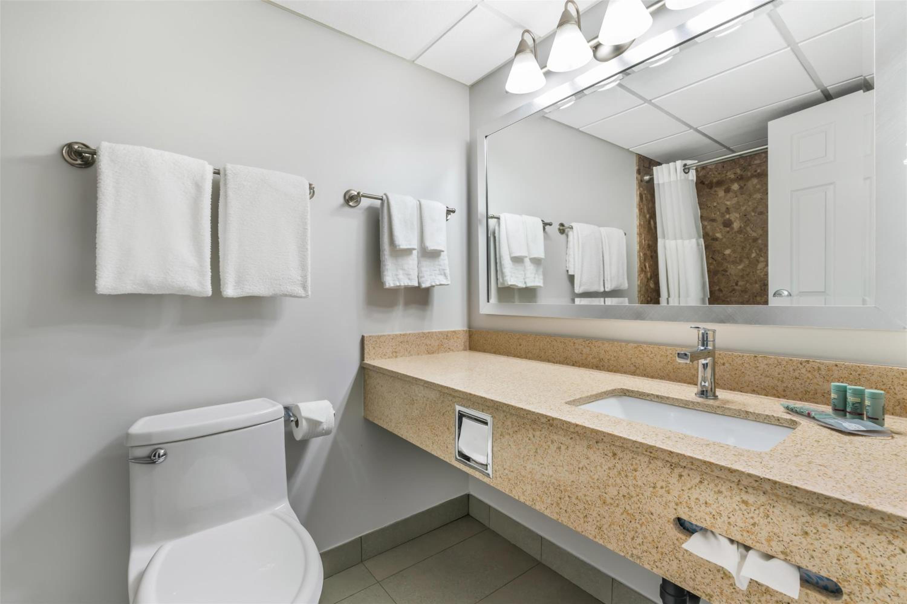 King Room - Non-Smoking - Photo 4