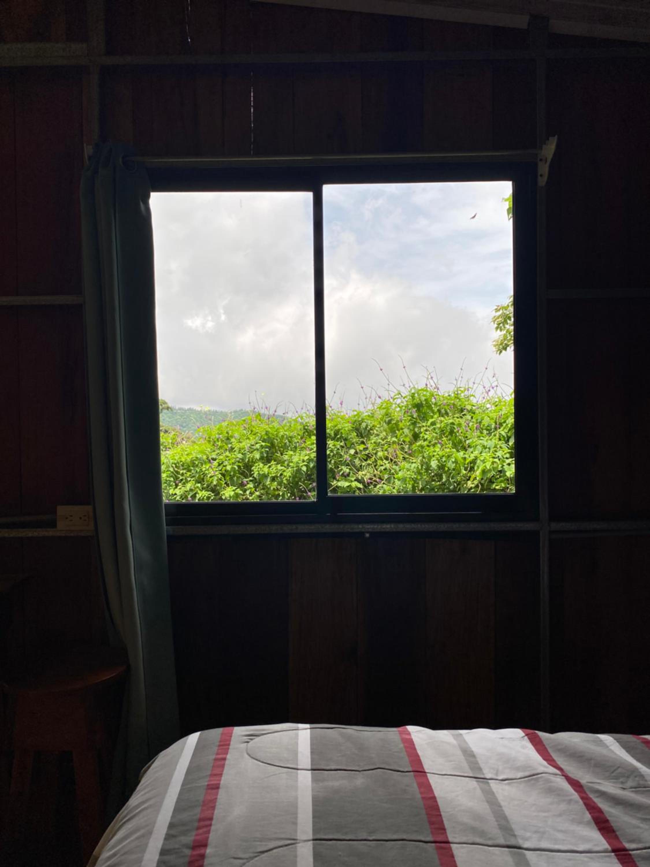 Triple Room with View