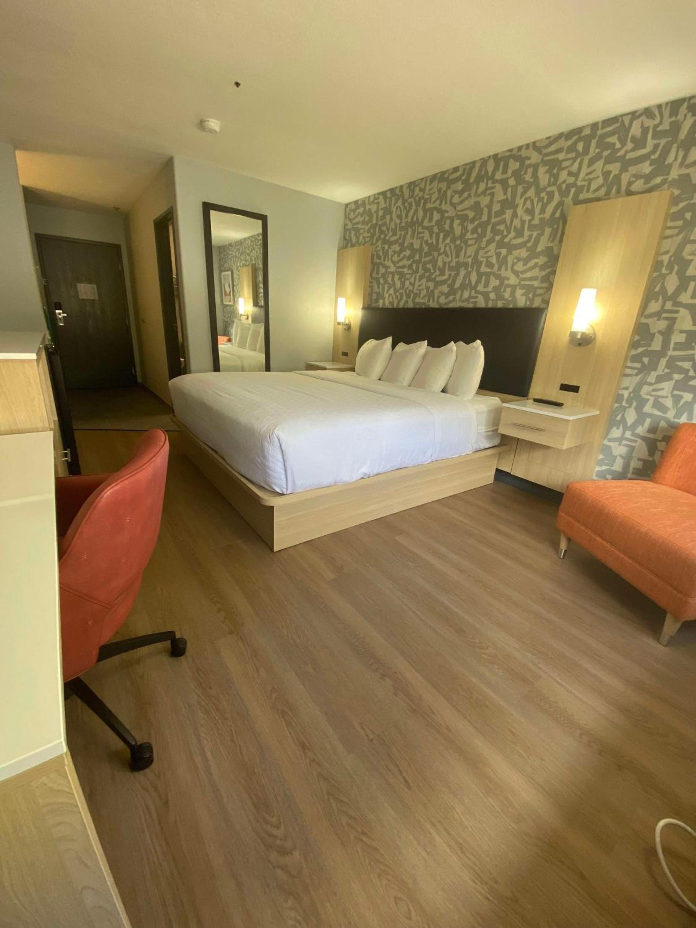 Pet Friendly King Room with Walk-In Shower - Non-Smoking - Photo 3