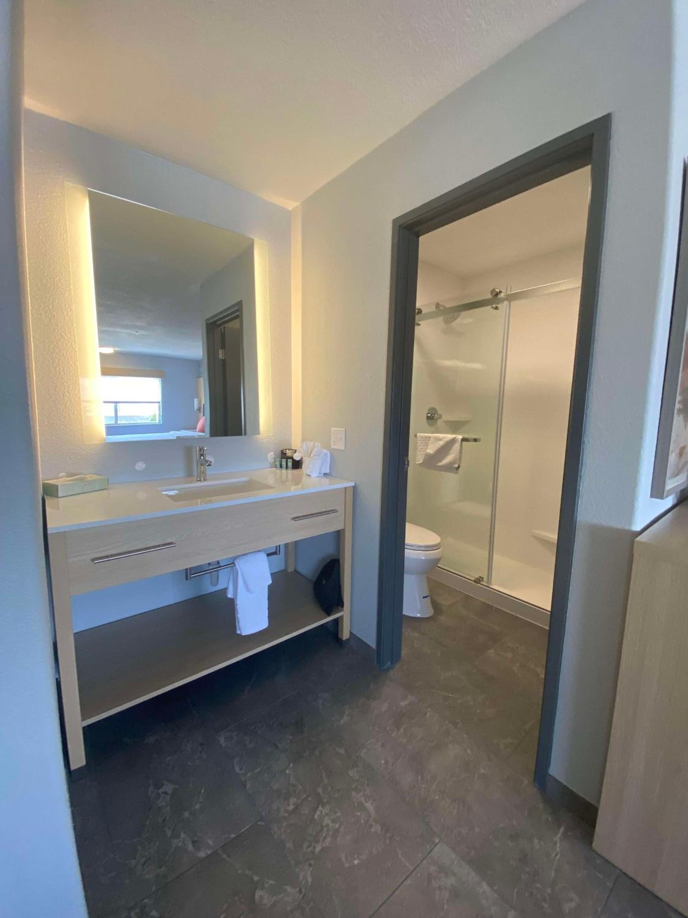 King Suite with Sofa Bed and Walk-In Shower - Non-Smoking - Photo 7