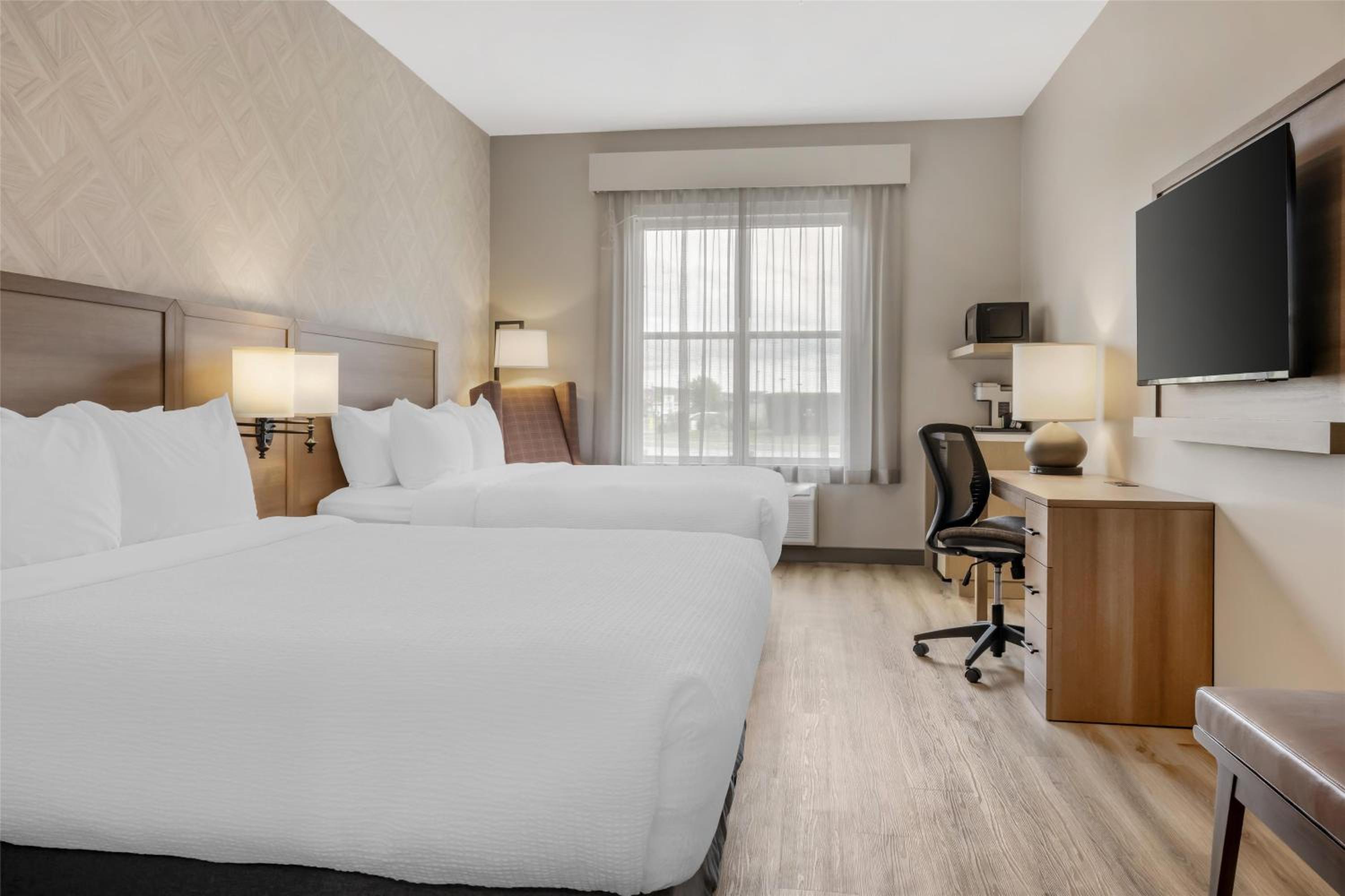 Queen Room - Mobility Accessible with Roll-In Shower