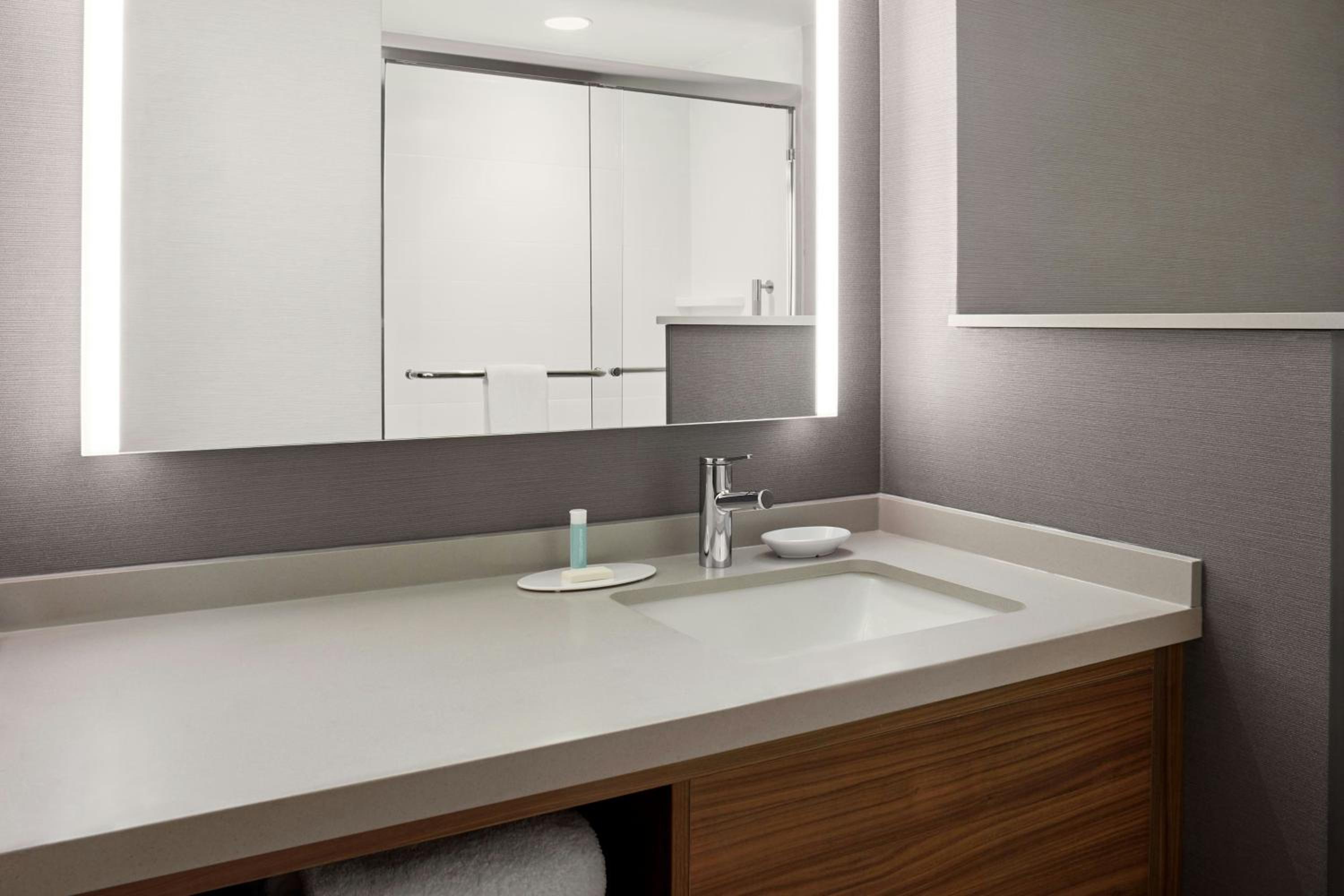 King Room with Roll-In Shower - Mobility Access/Hearing Accessible - Photo 3