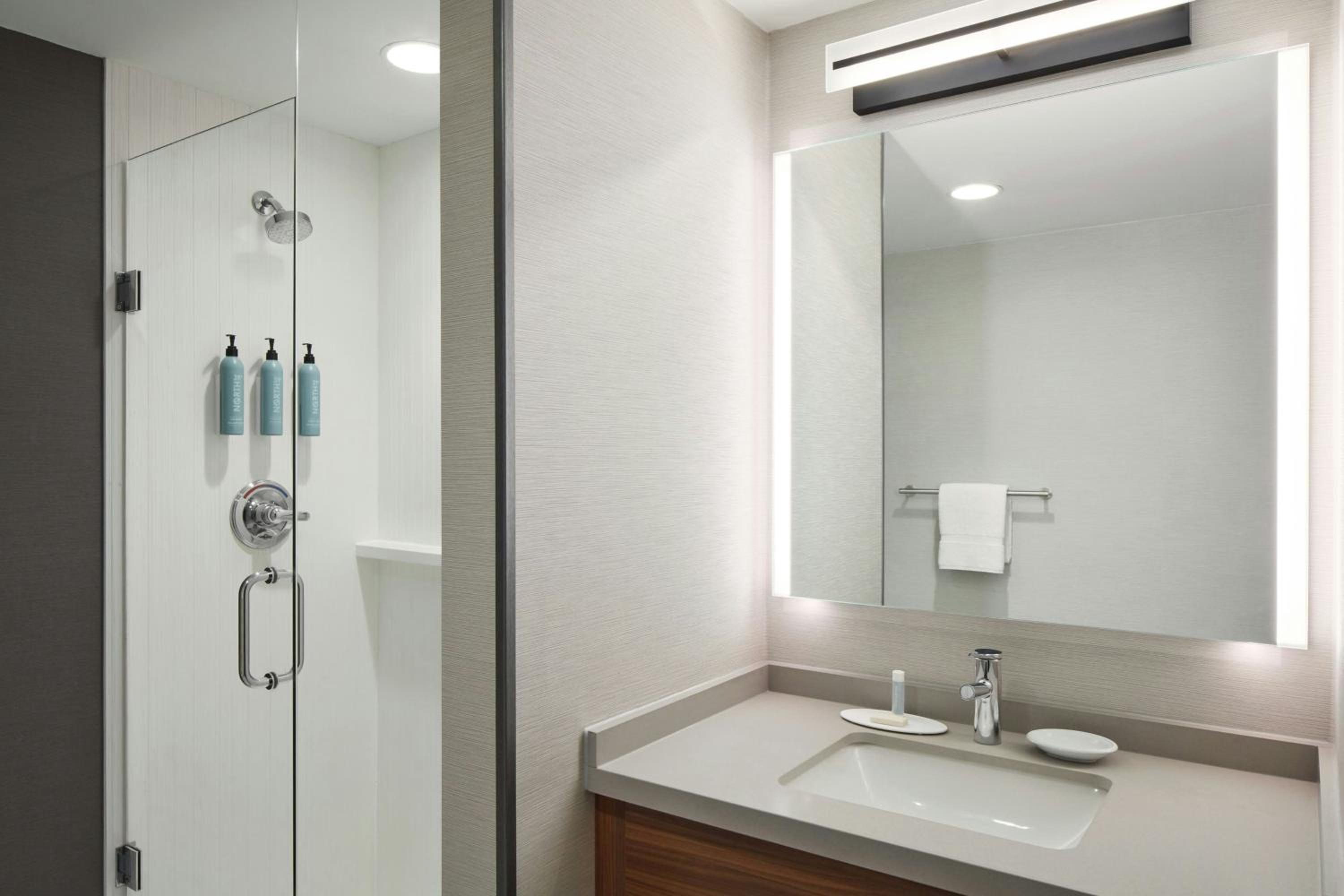 King Room with Roll-In Shower - Mobility Access/Hearing Accessible - Photo 4