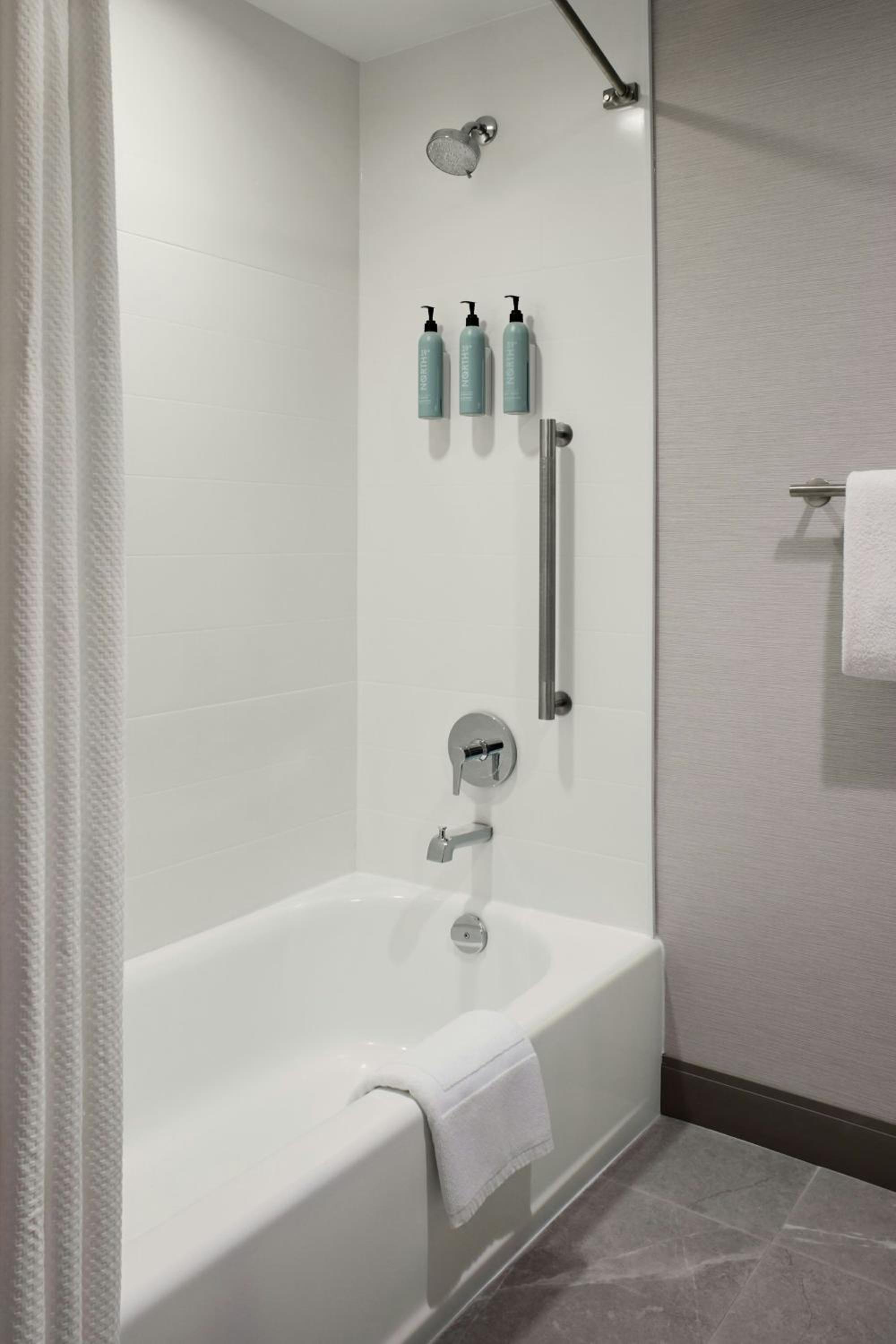 King Room with Roll-In Shower - Mobility Access/Hearing Accessible - Photo 8