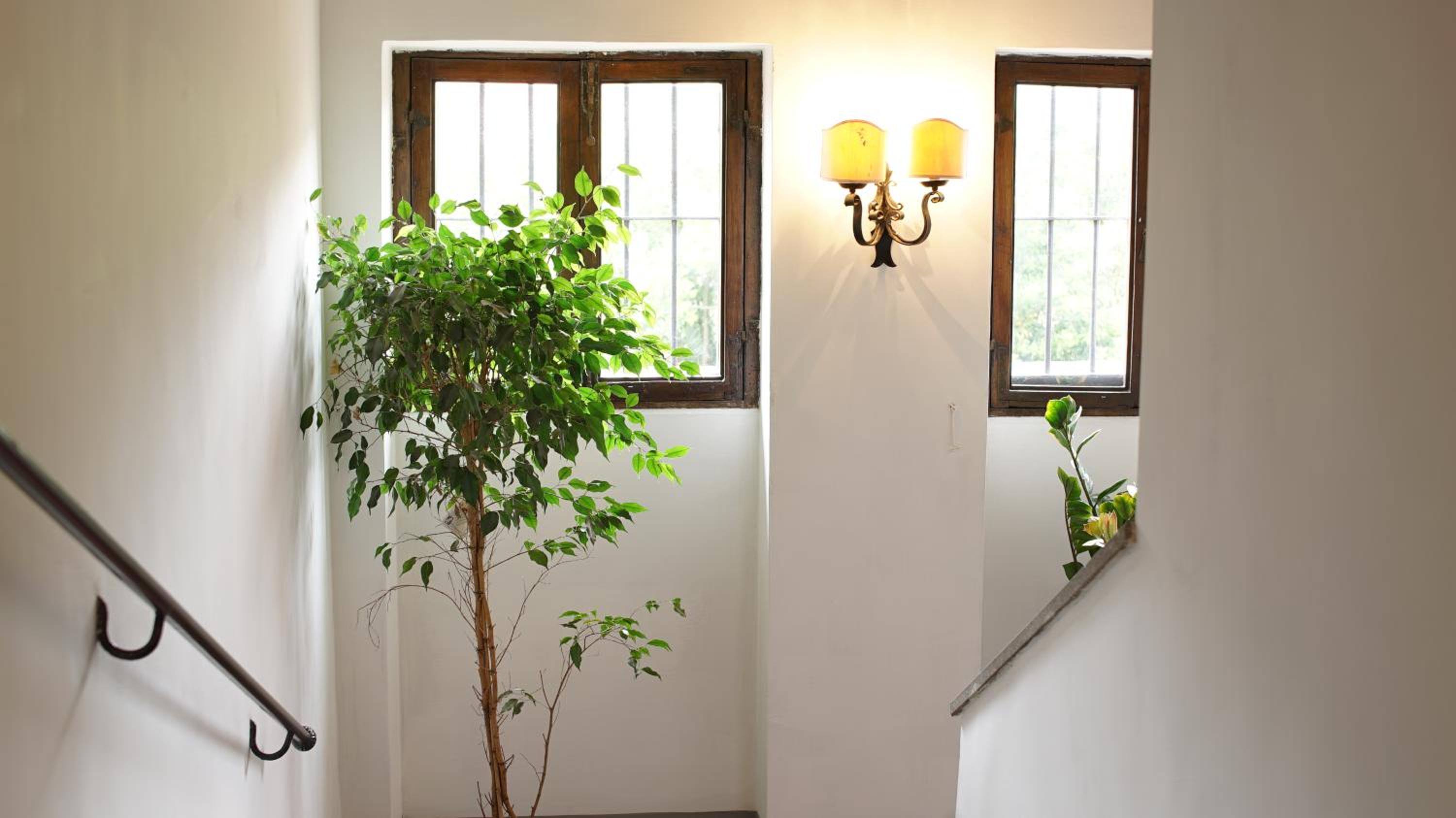 Studio with Terrace photo 2