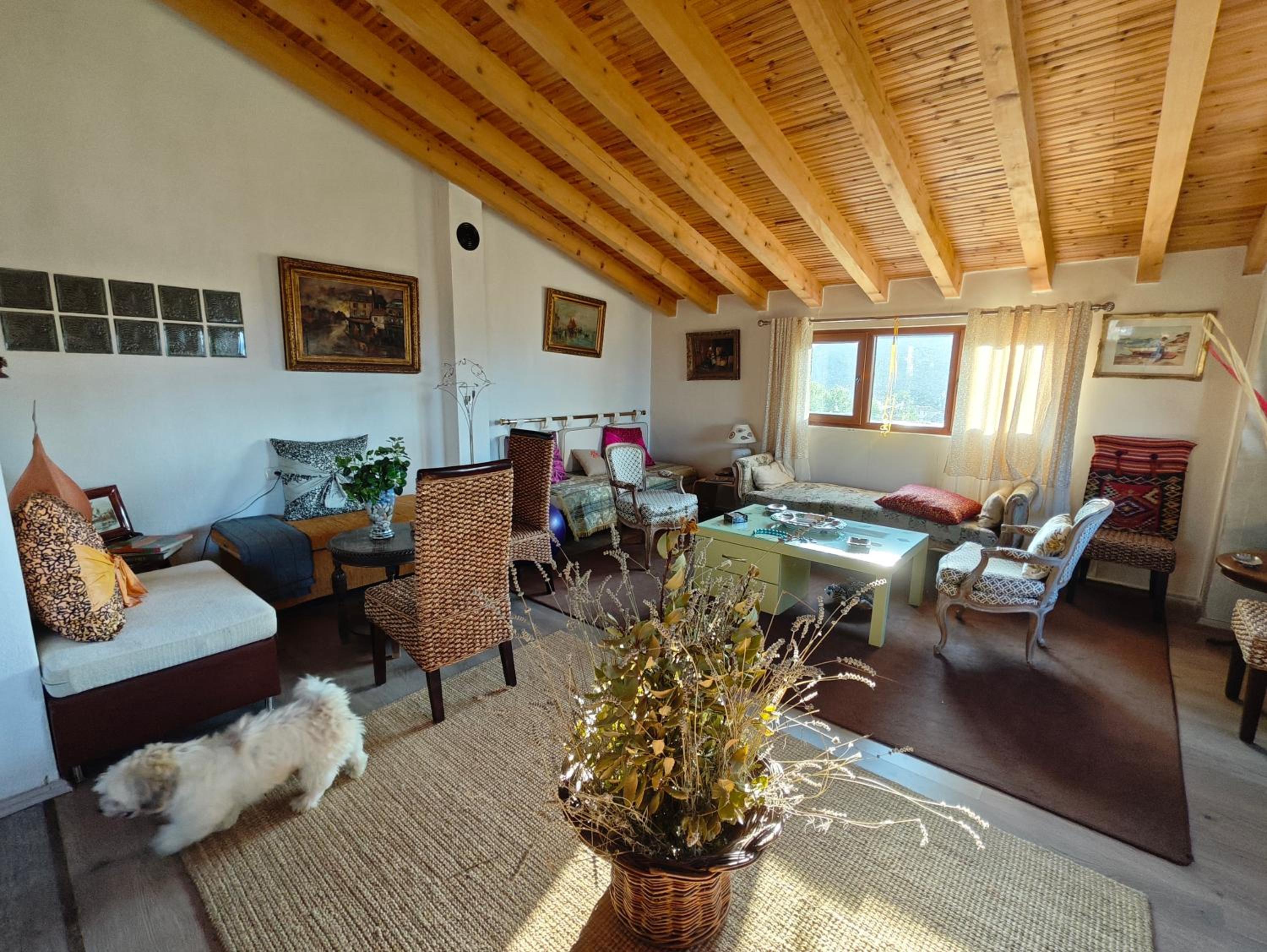 Triple Room with Shared Bathroom